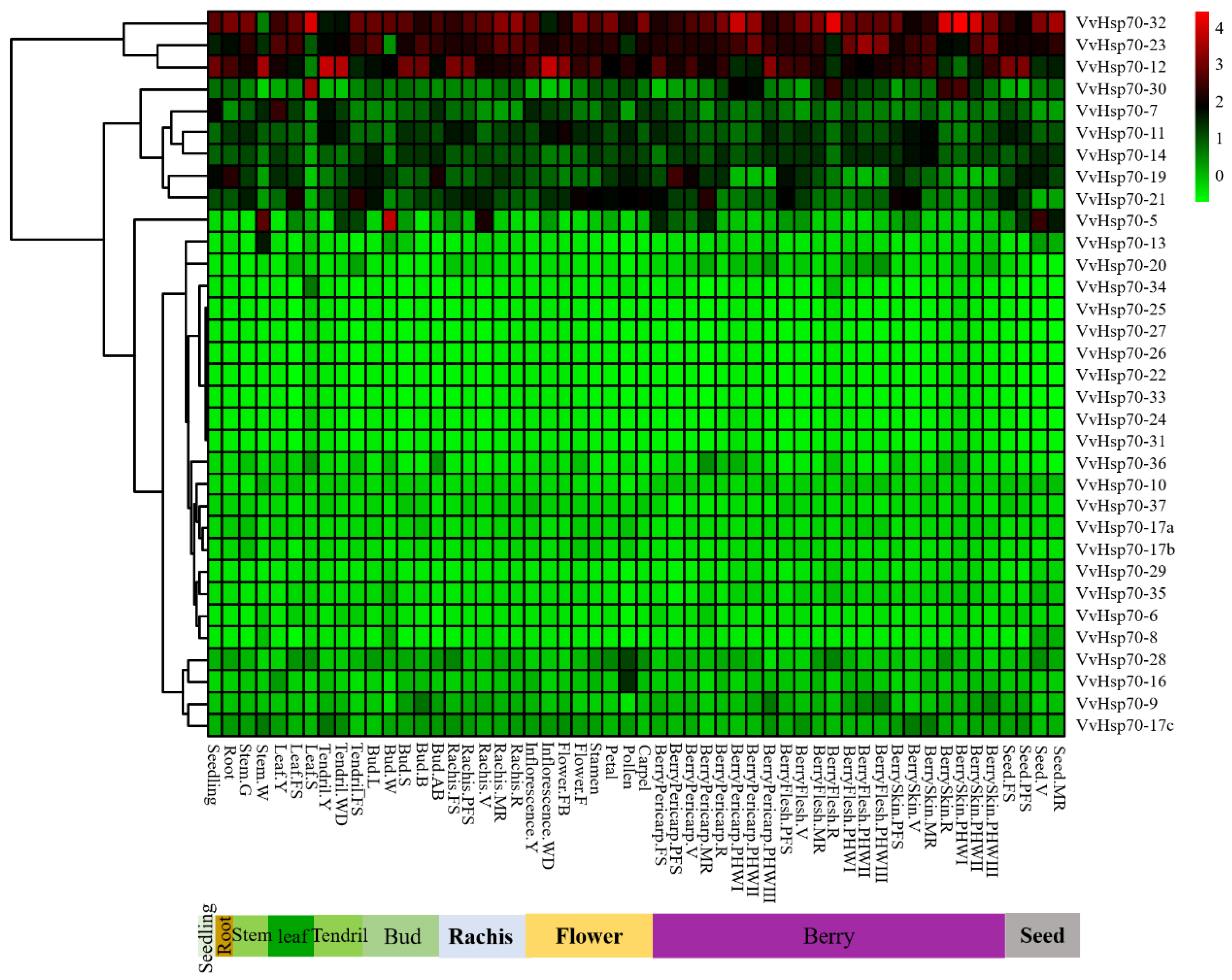 Horticulturae 08 00743 g005 550