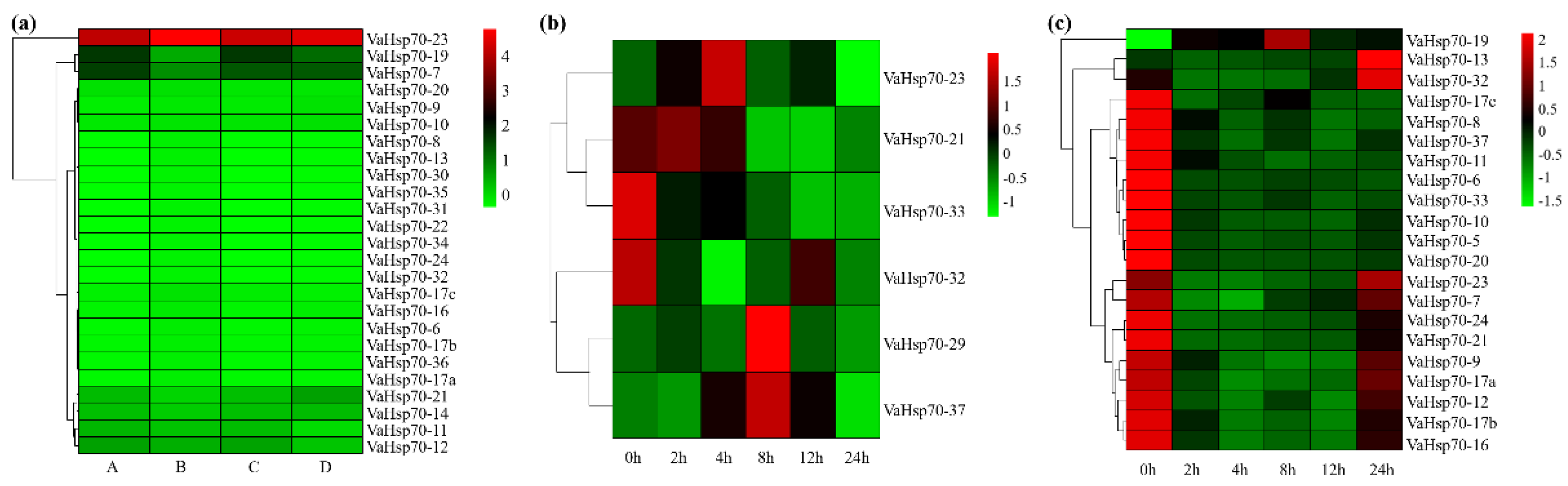 Horticulturae 08 00743 g007 550
