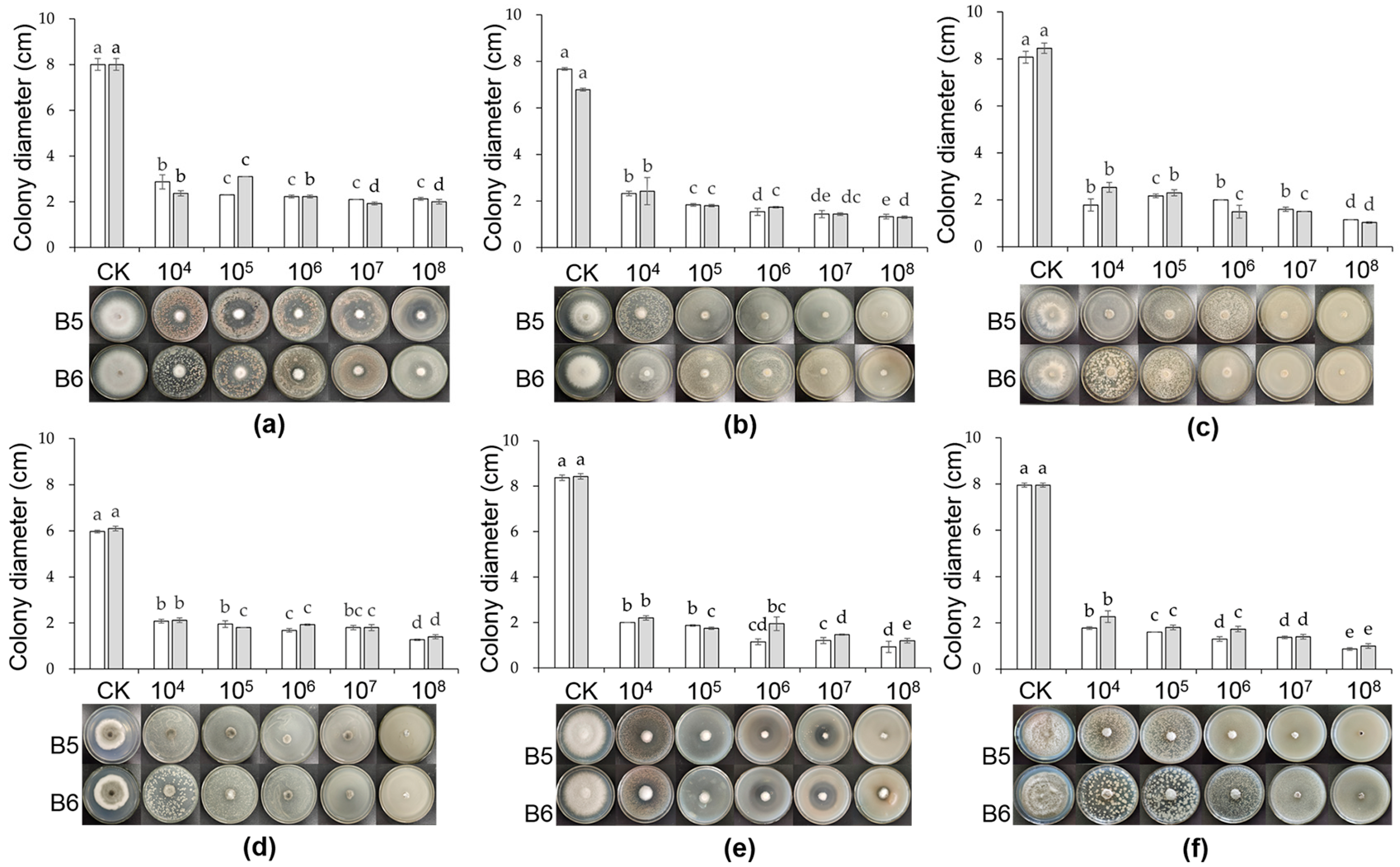 Horticulturae 08 00744 g001