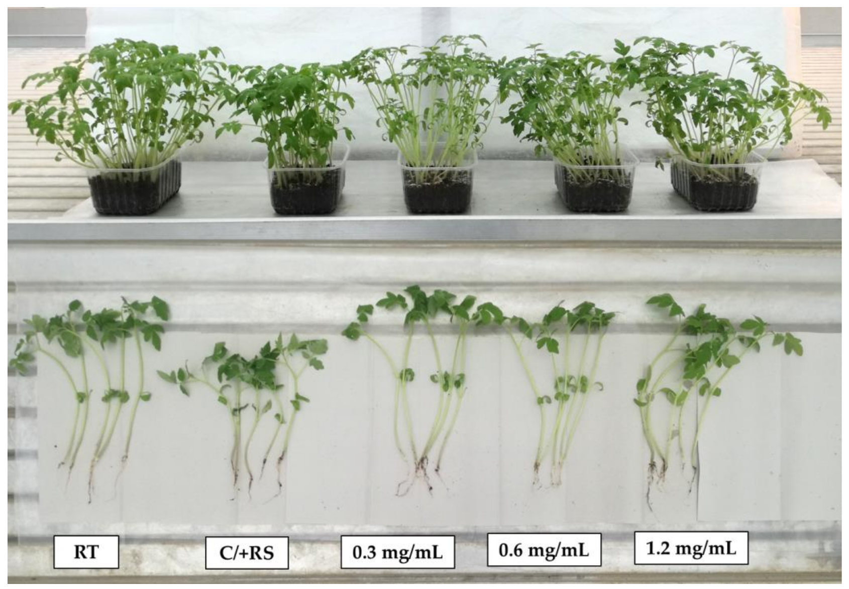 Horticulturae 08 00746 g004