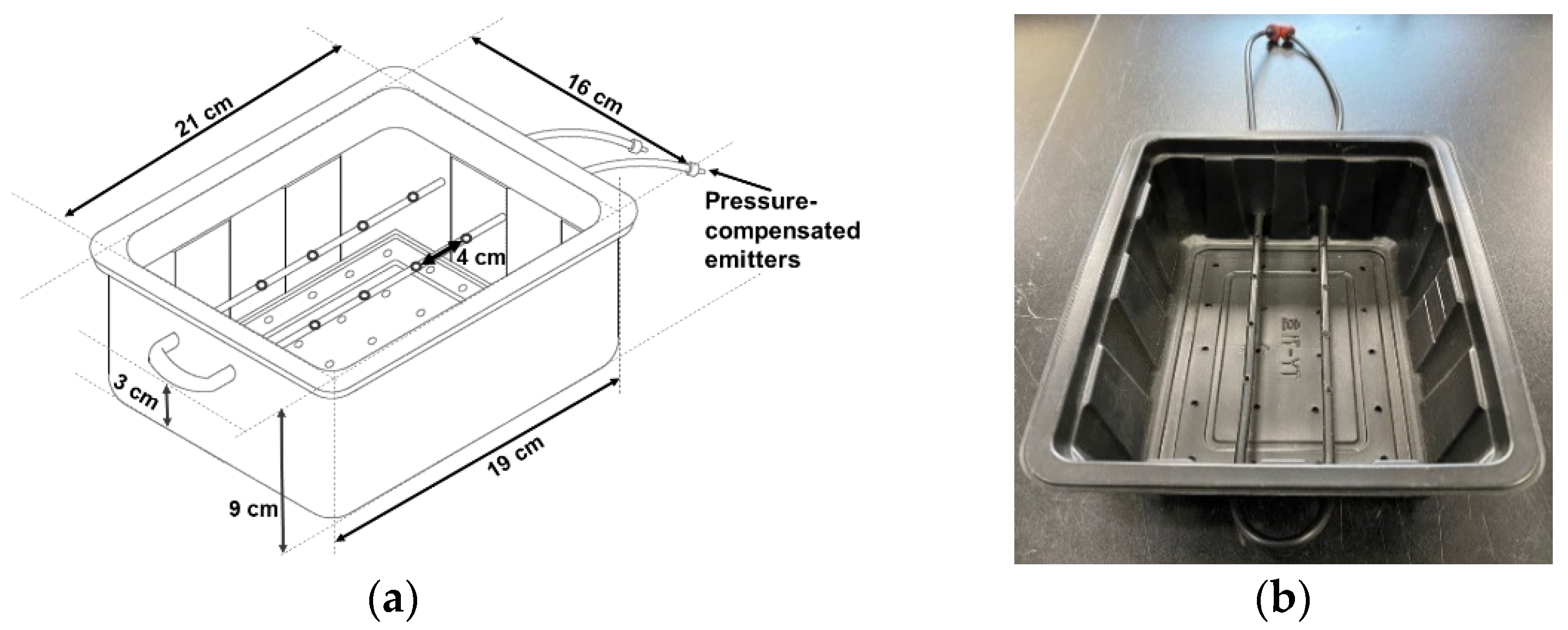 Horticulturae 08 00753 g001 550