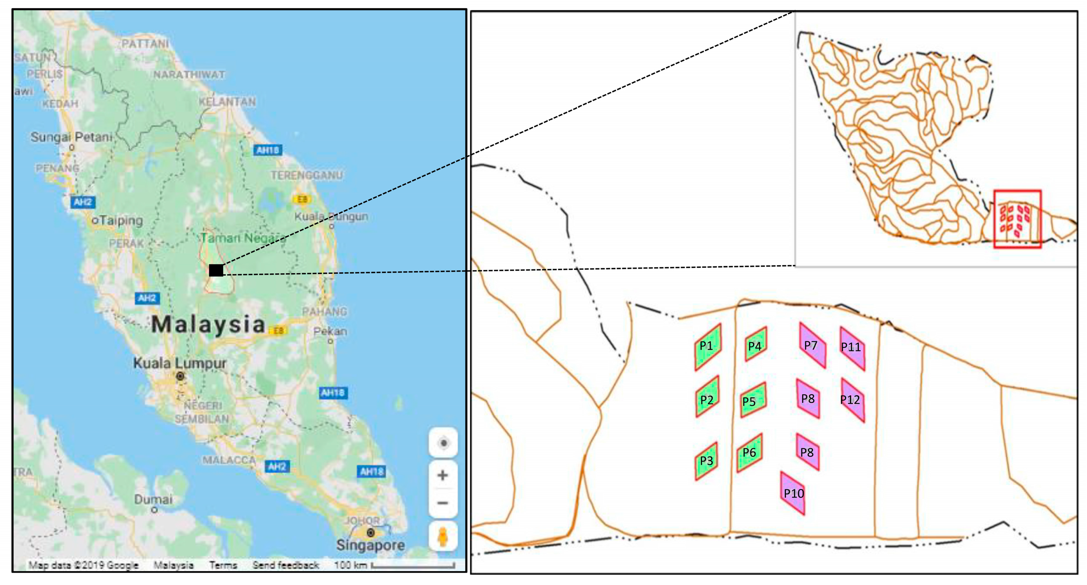 Horticulturae 08 00758 g001