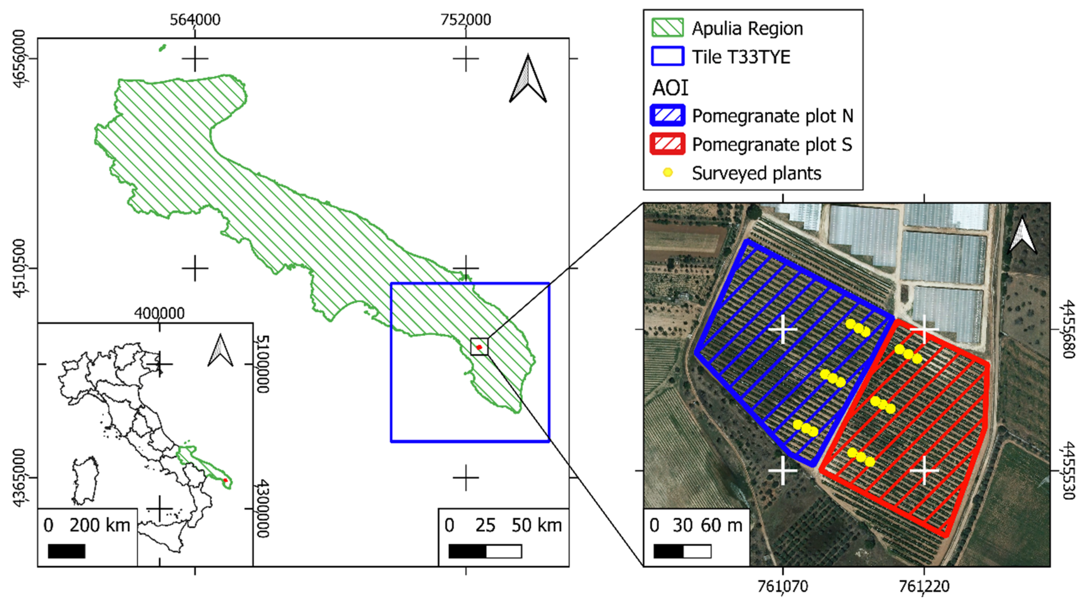 Horticulturae 08 00759 g001 550