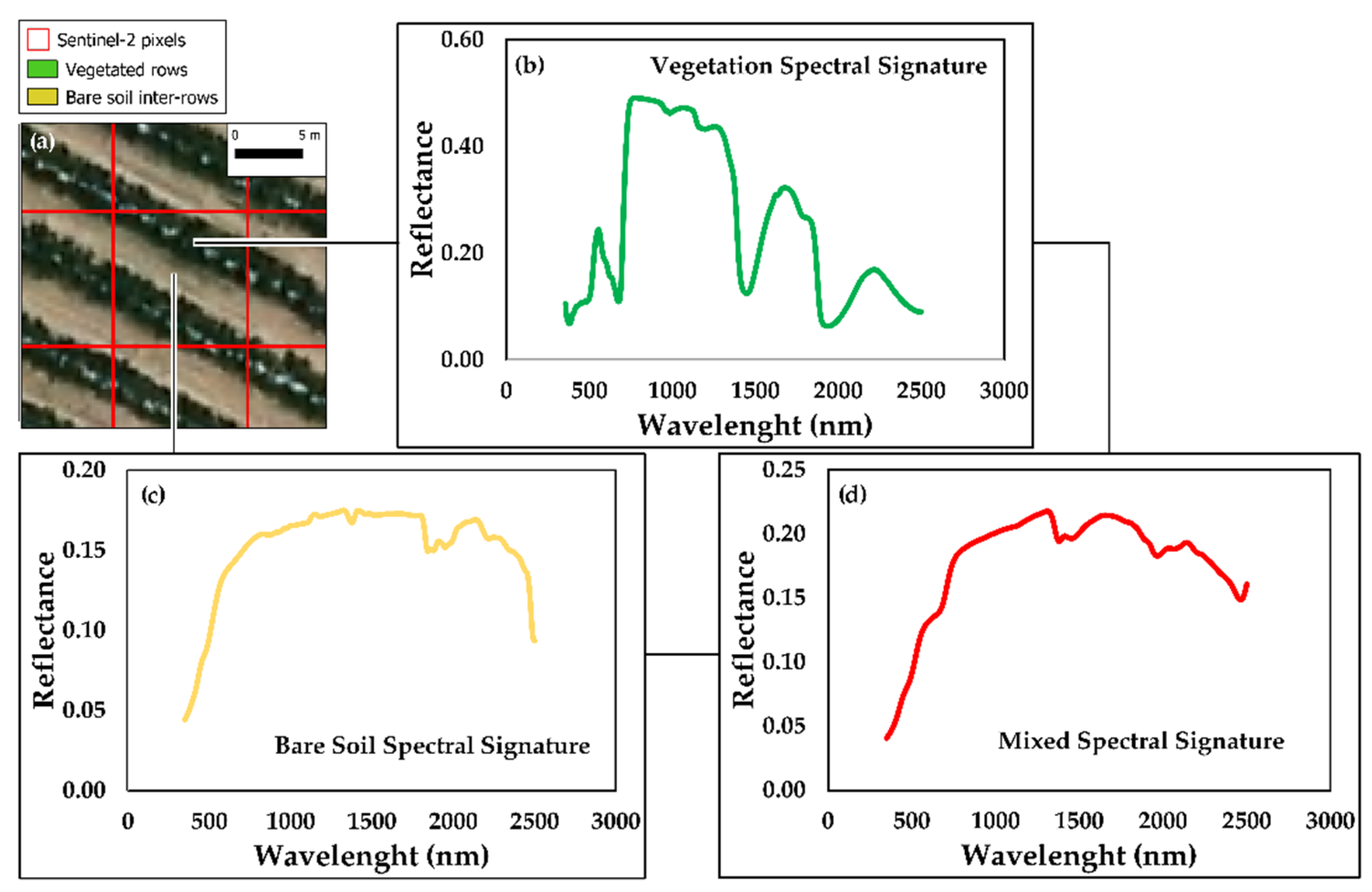 Horticulturae 08 00759 g002 550