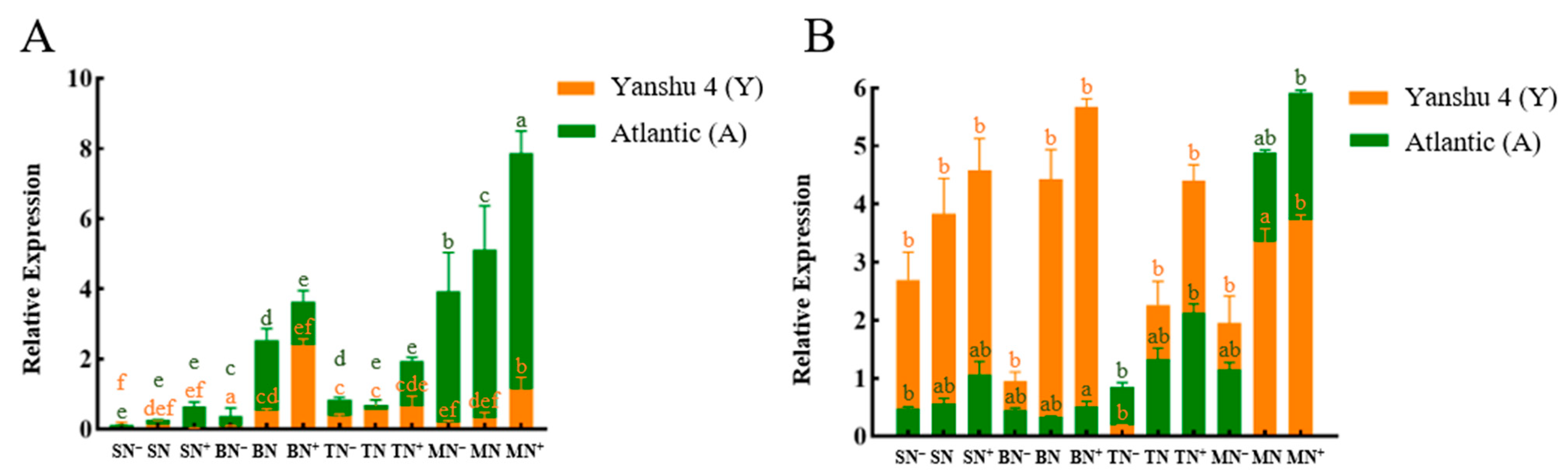 Horticulturae 08 00769 g002