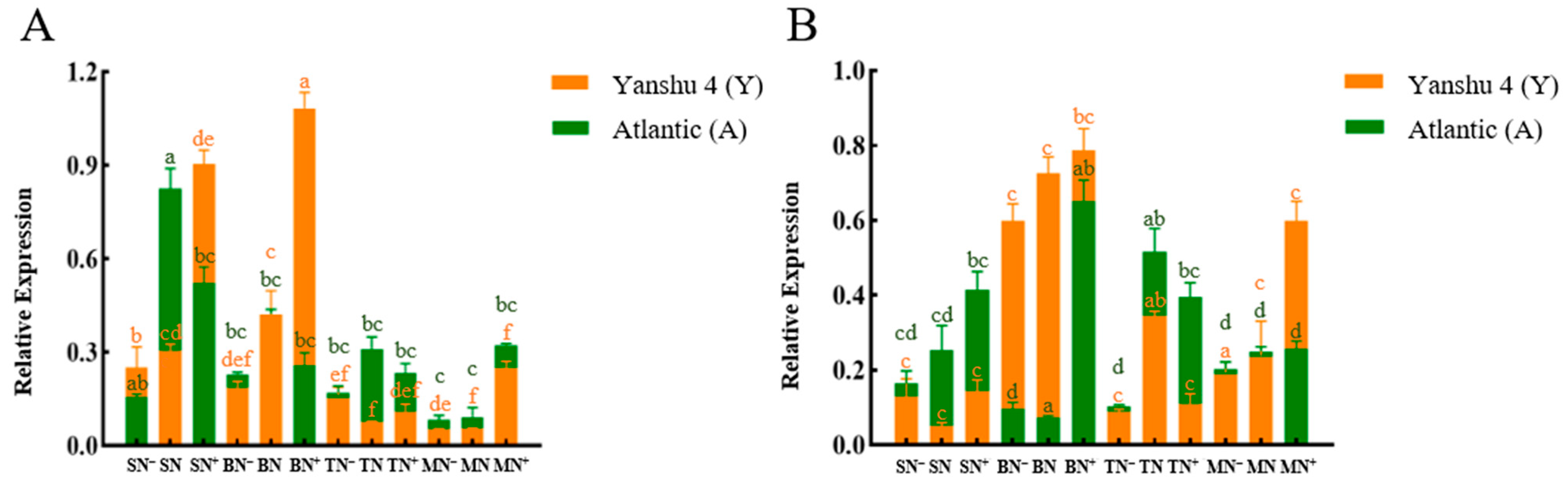 Horticulturae 08 00769 g003