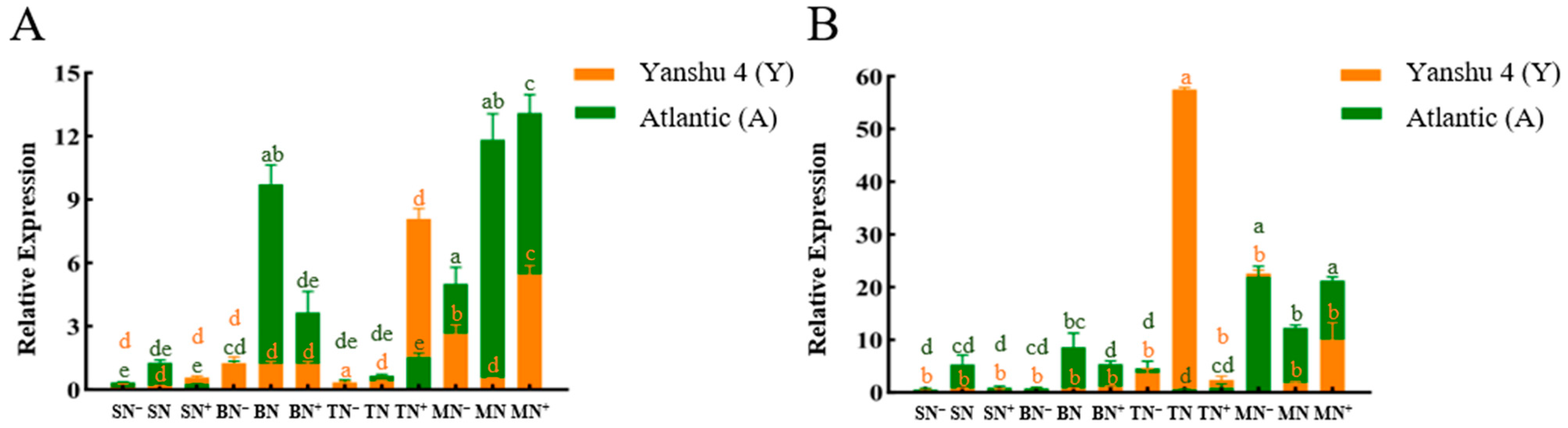 Horticulturae 08 00769 g004