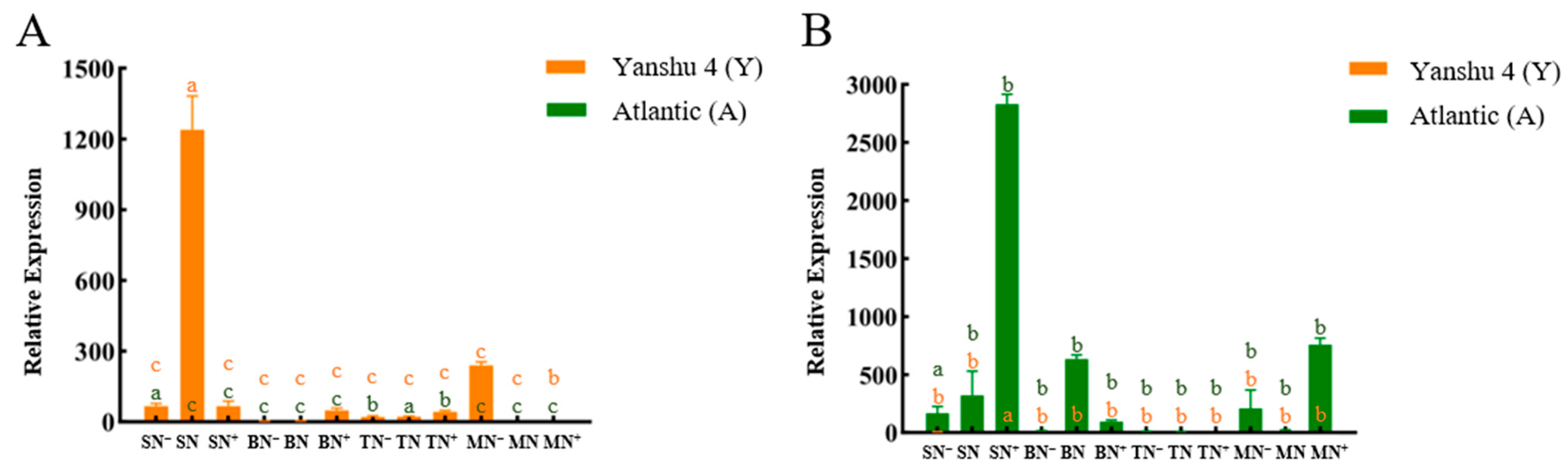 Horticulturae 08 00769 g006