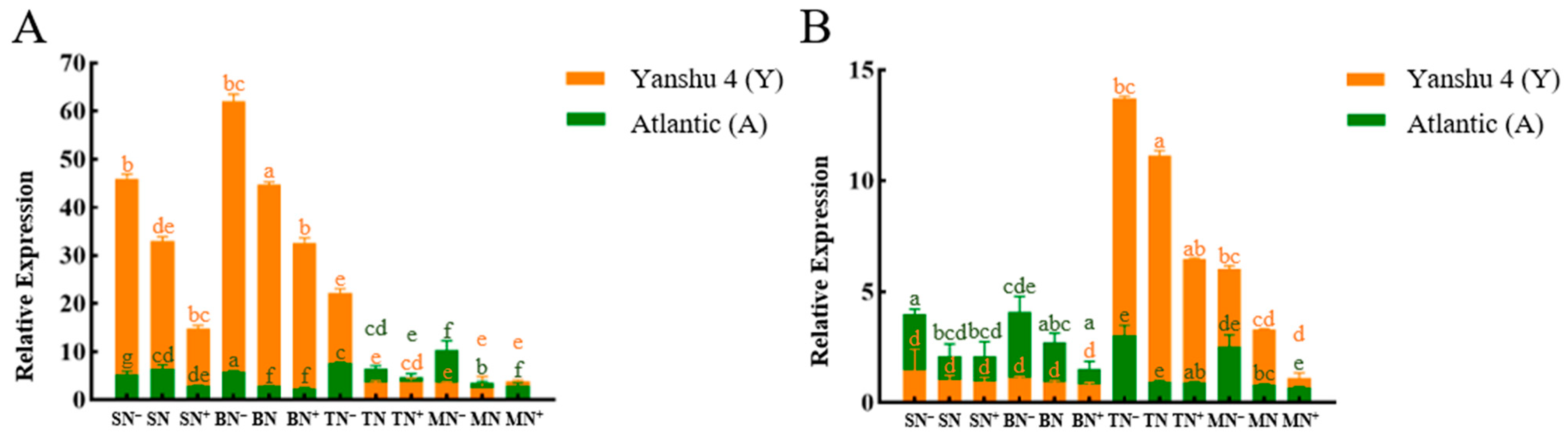 Horticulturae 08 00769 g009