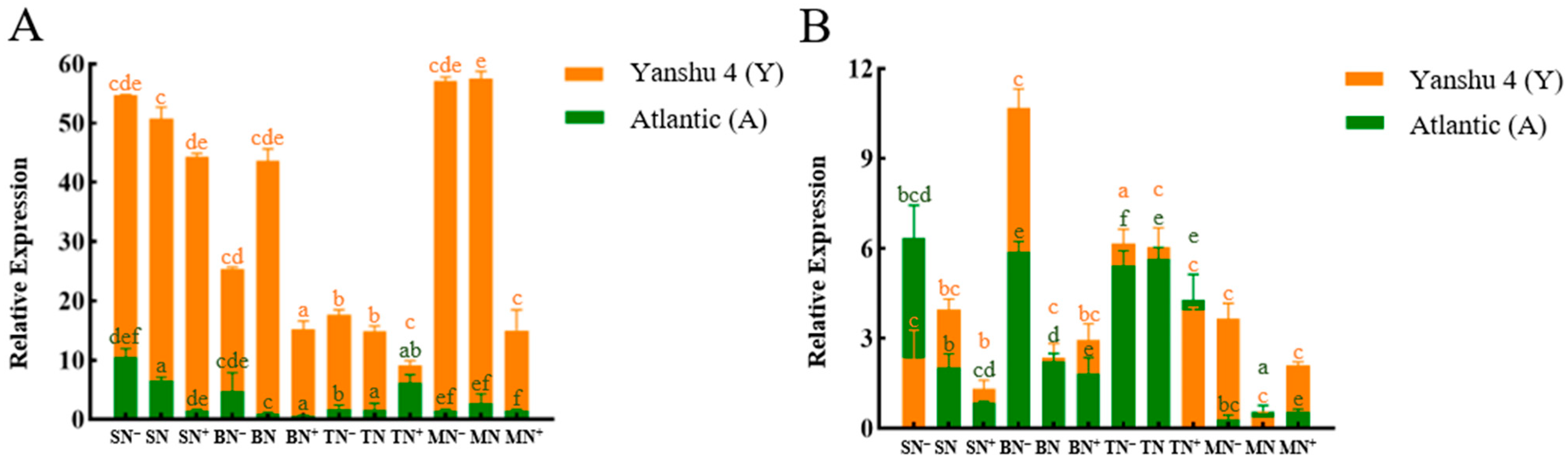 Horticulturae 08 00769 g010