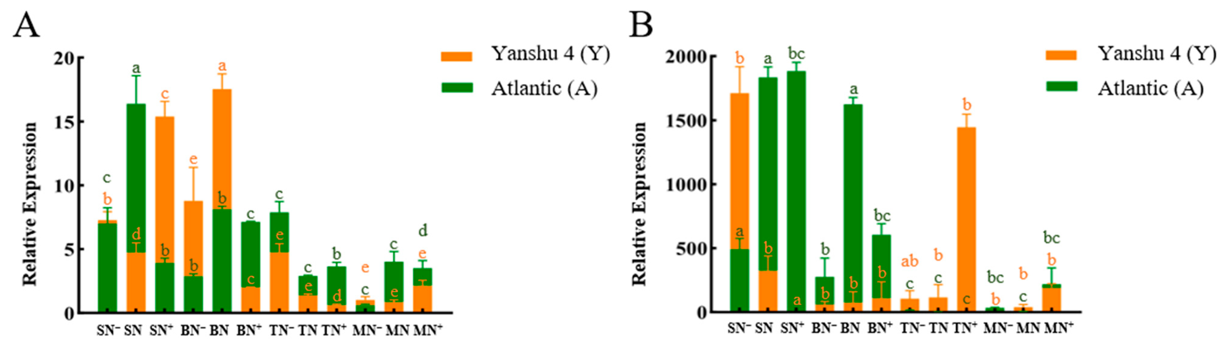 Horticulturae 08 00769 g012