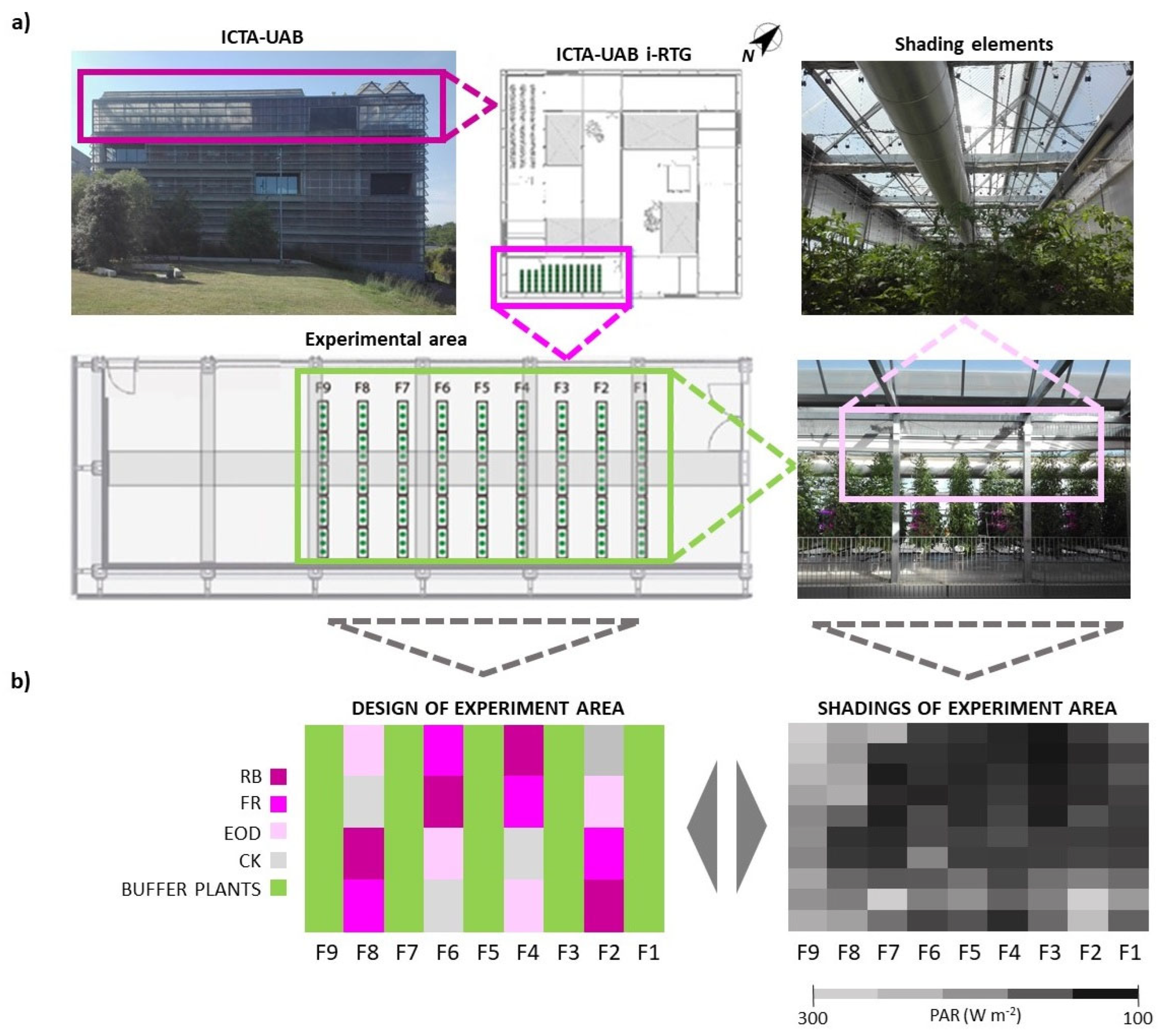 Horticulturae 08 00771 g001 550