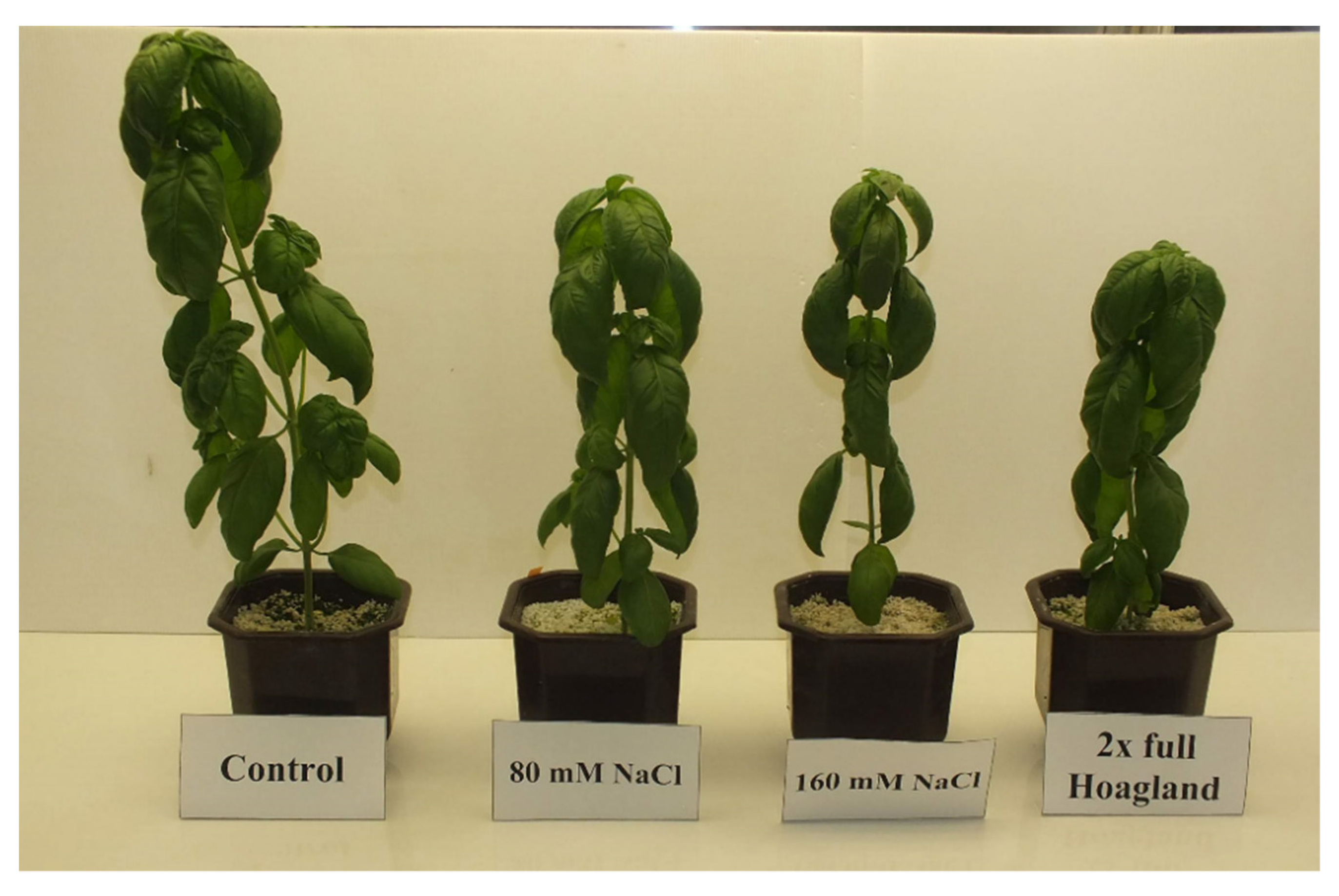 Horticulturae 08 00775 g003