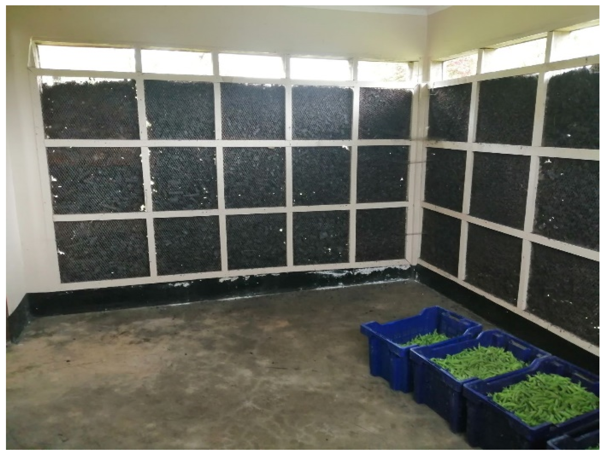 Horticulturae Free FullText Precooling and Cold Storage Methods