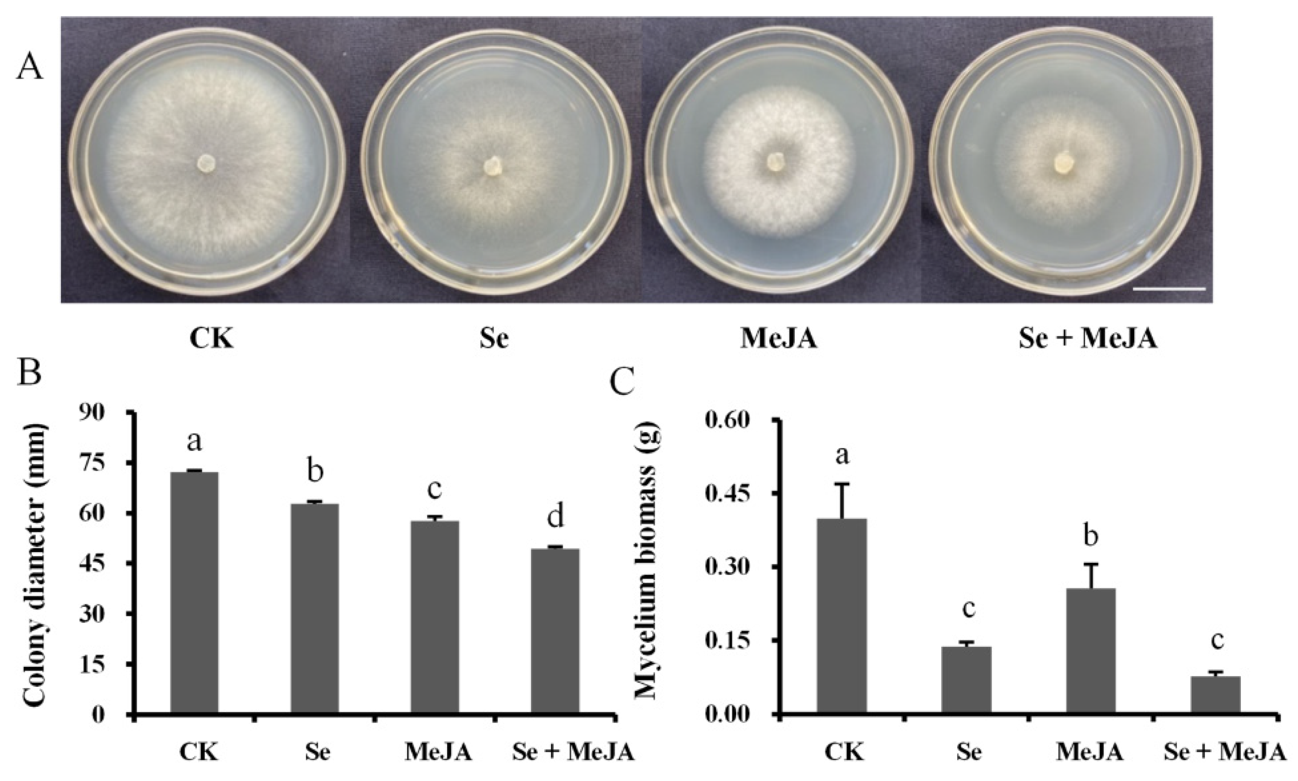 Horticulturae 08 00782 g001