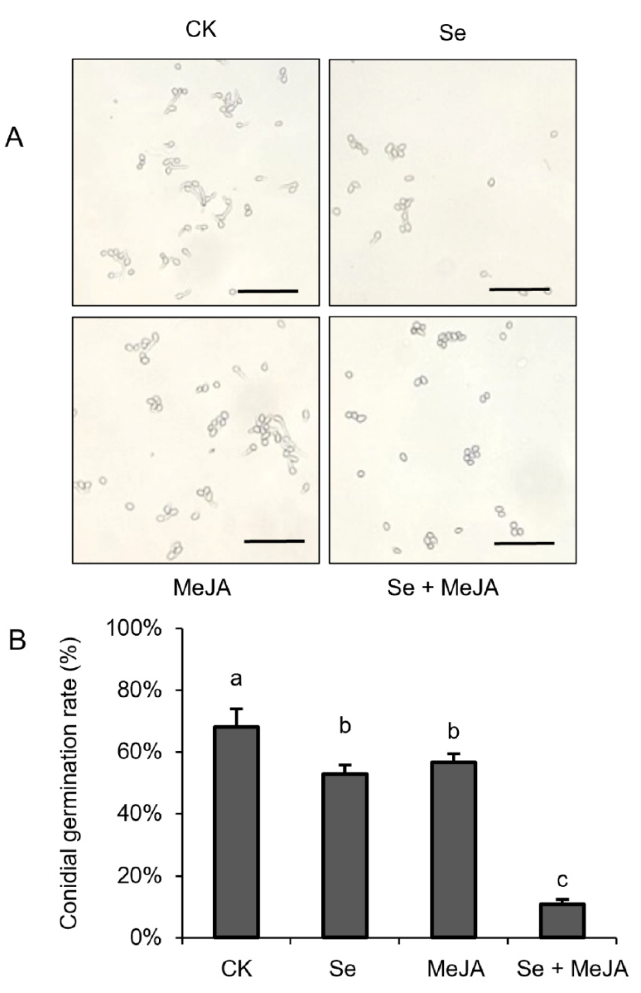 Horticulturae 08 00782 g002