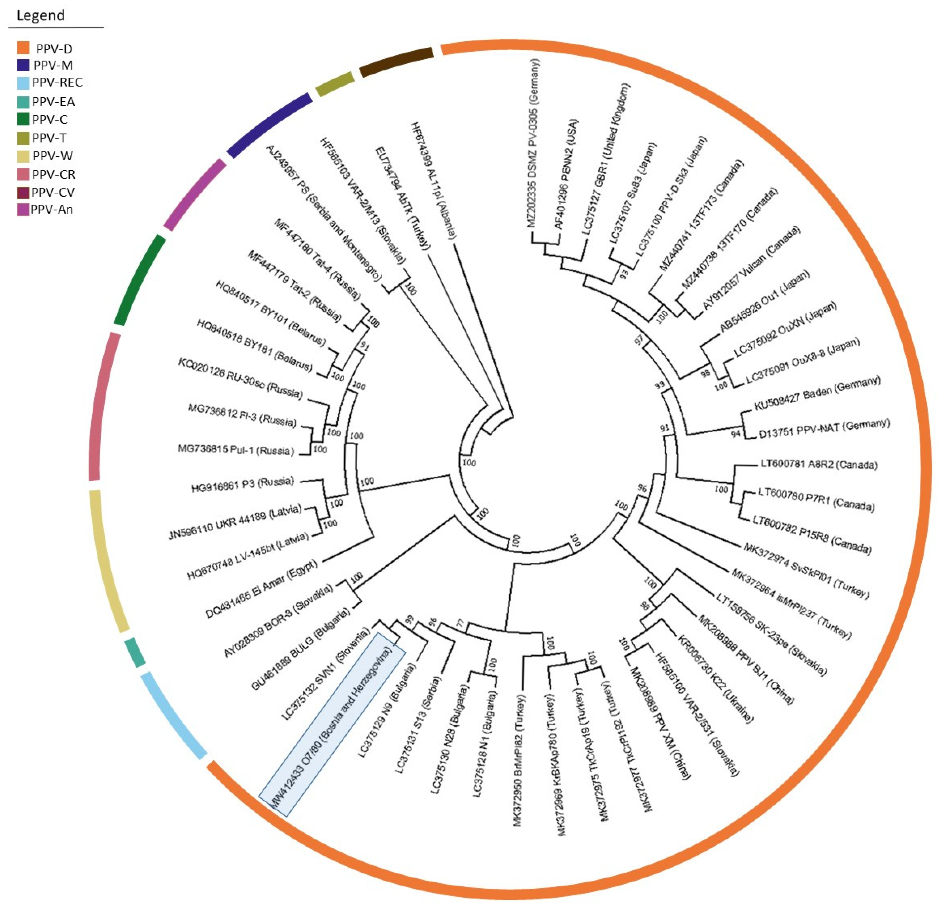 Horticulturae 08 00783 g002 550