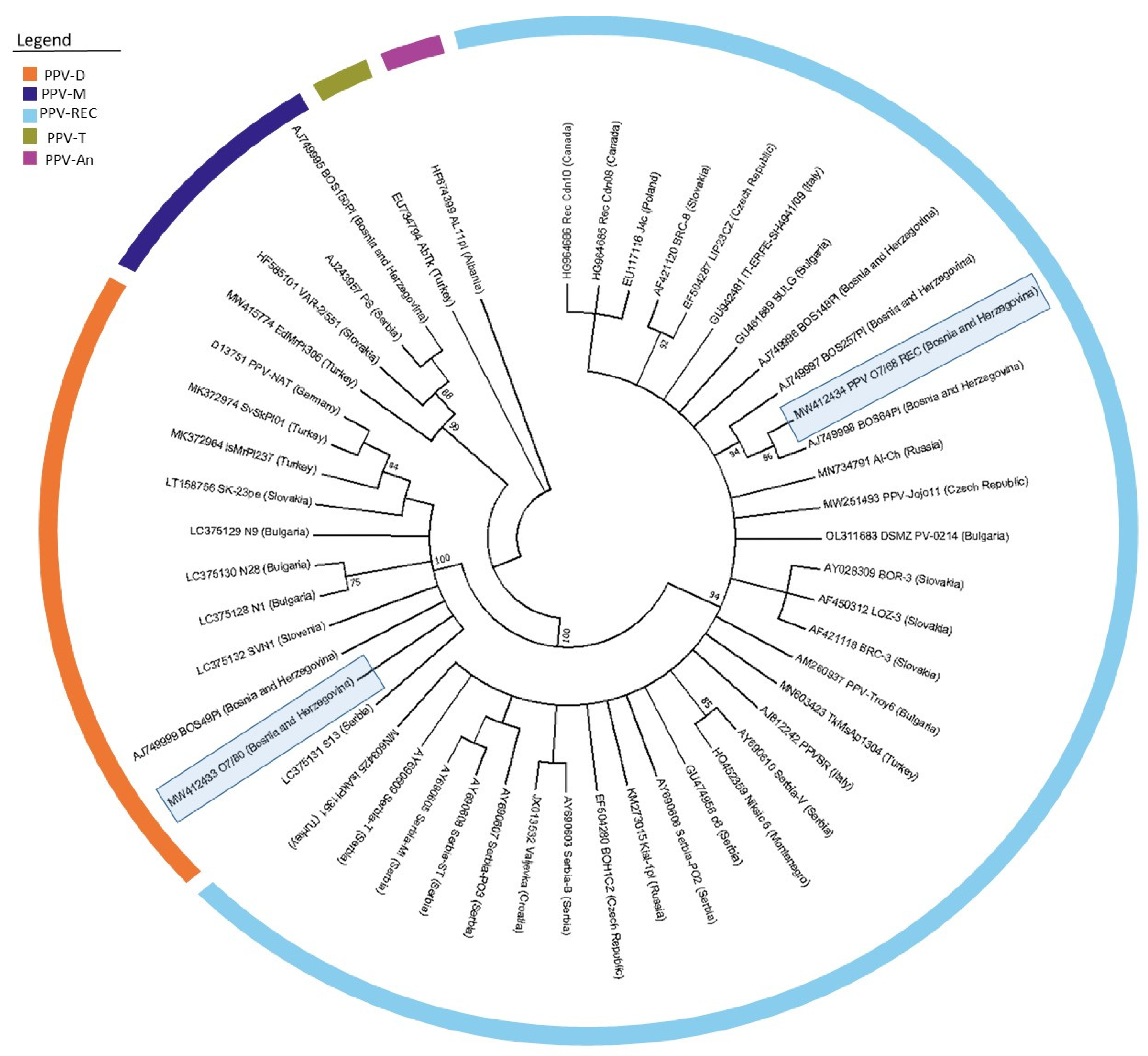 Horticulturae 08 00783 g003 550