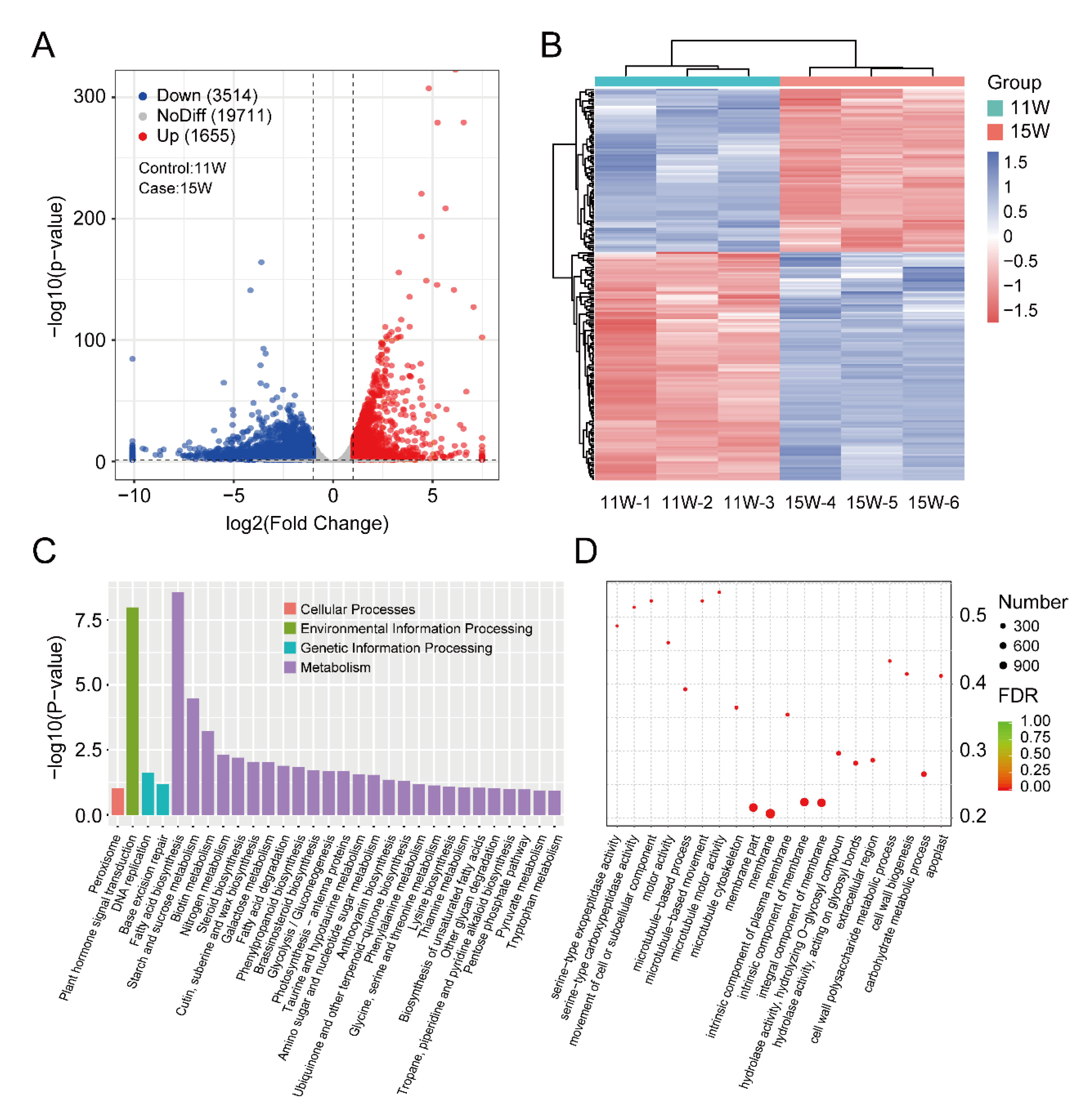 Horticulturae 08 00784 g004
