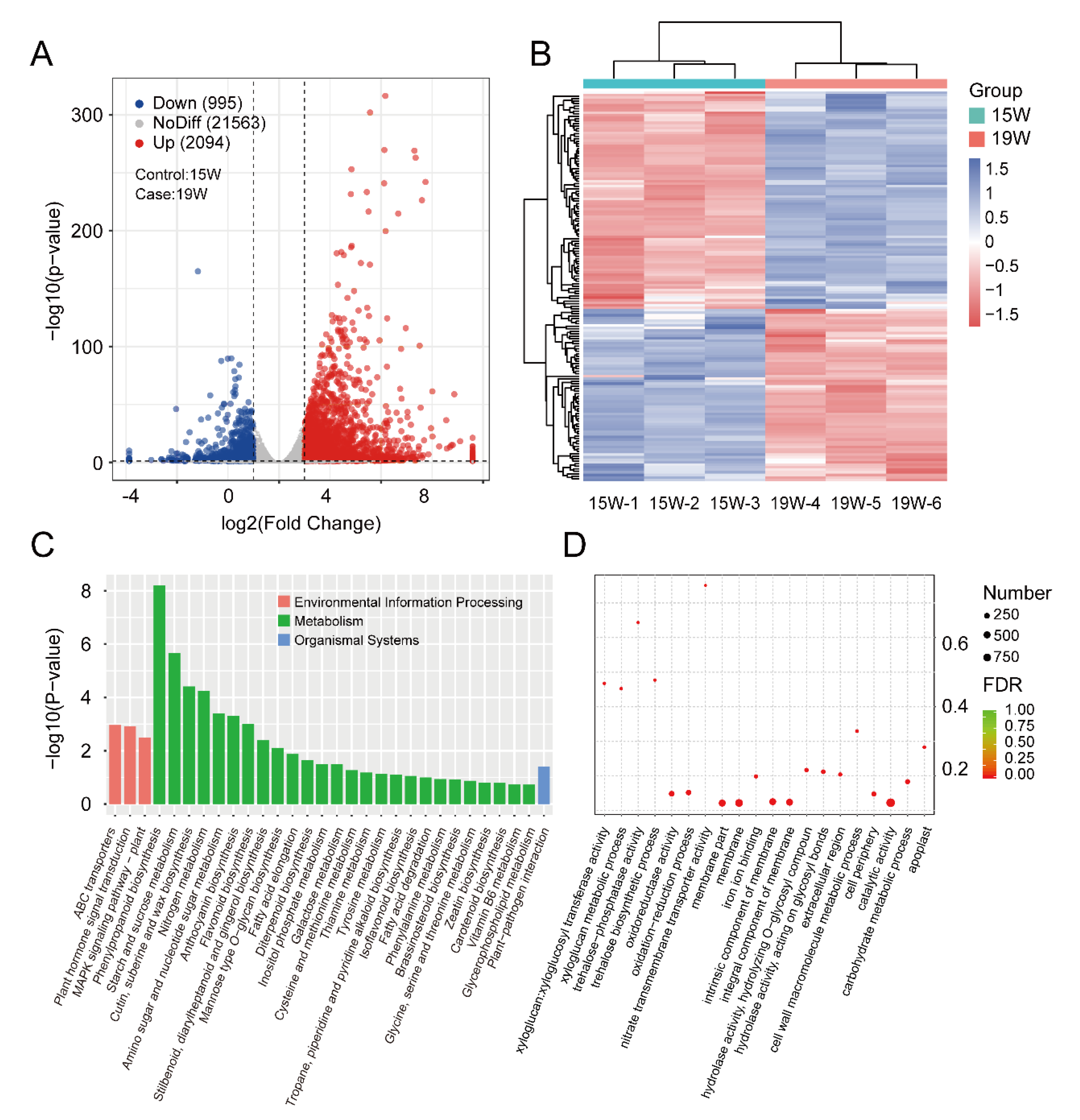 Horticulturae 08 00784 g005