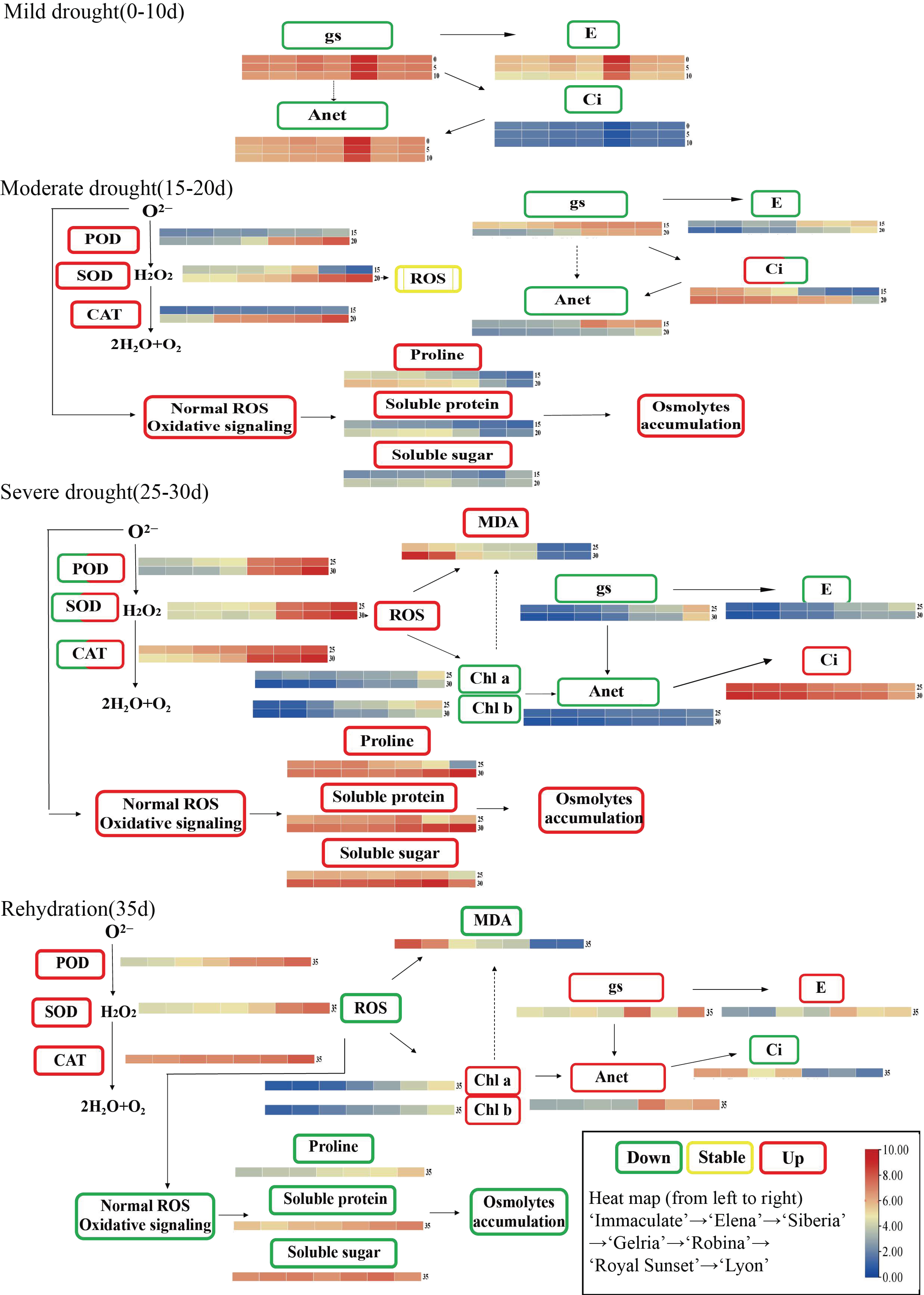 Horticulturae 08 00786 g010
