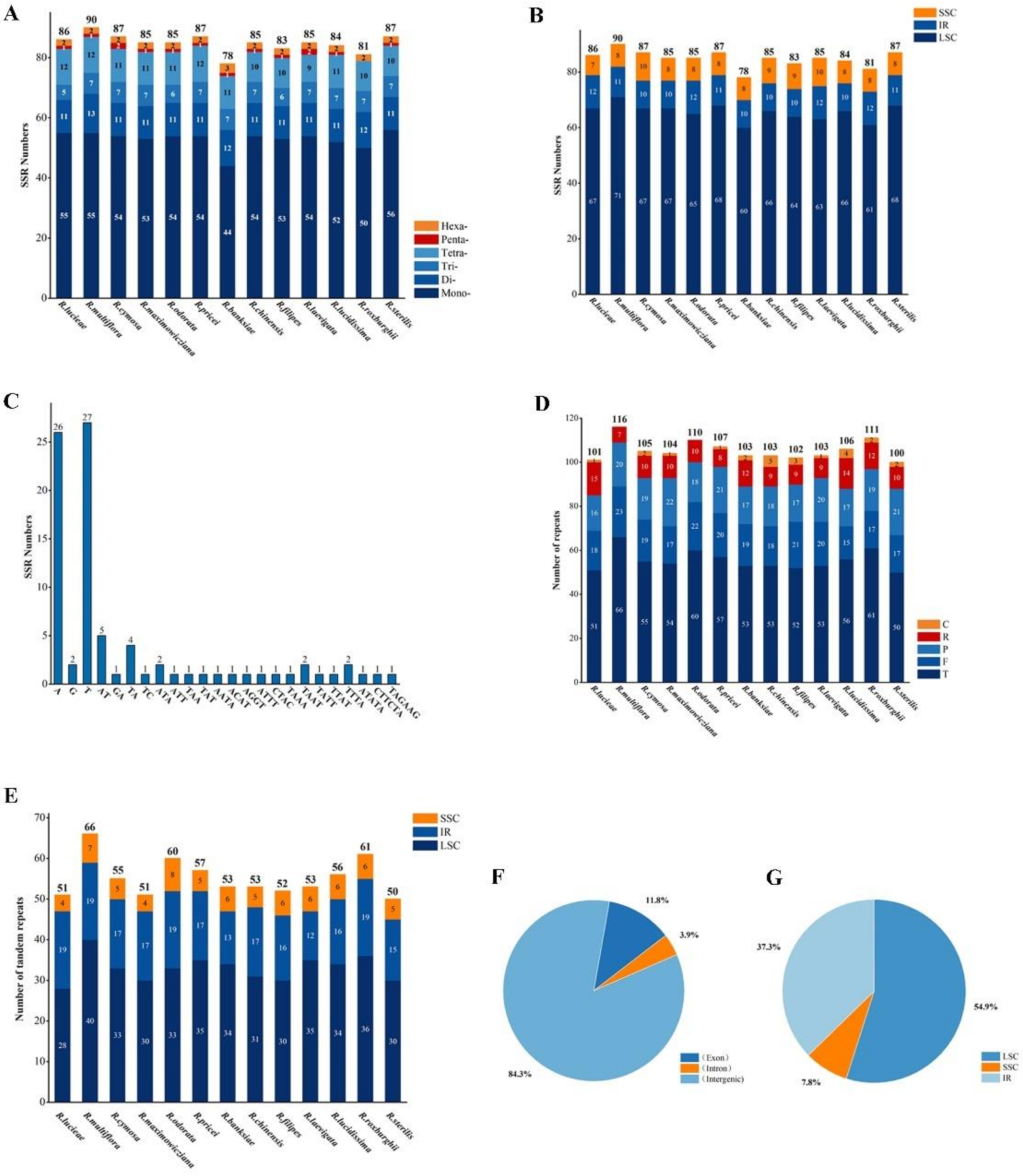 Horticulturae 08 00788 g003