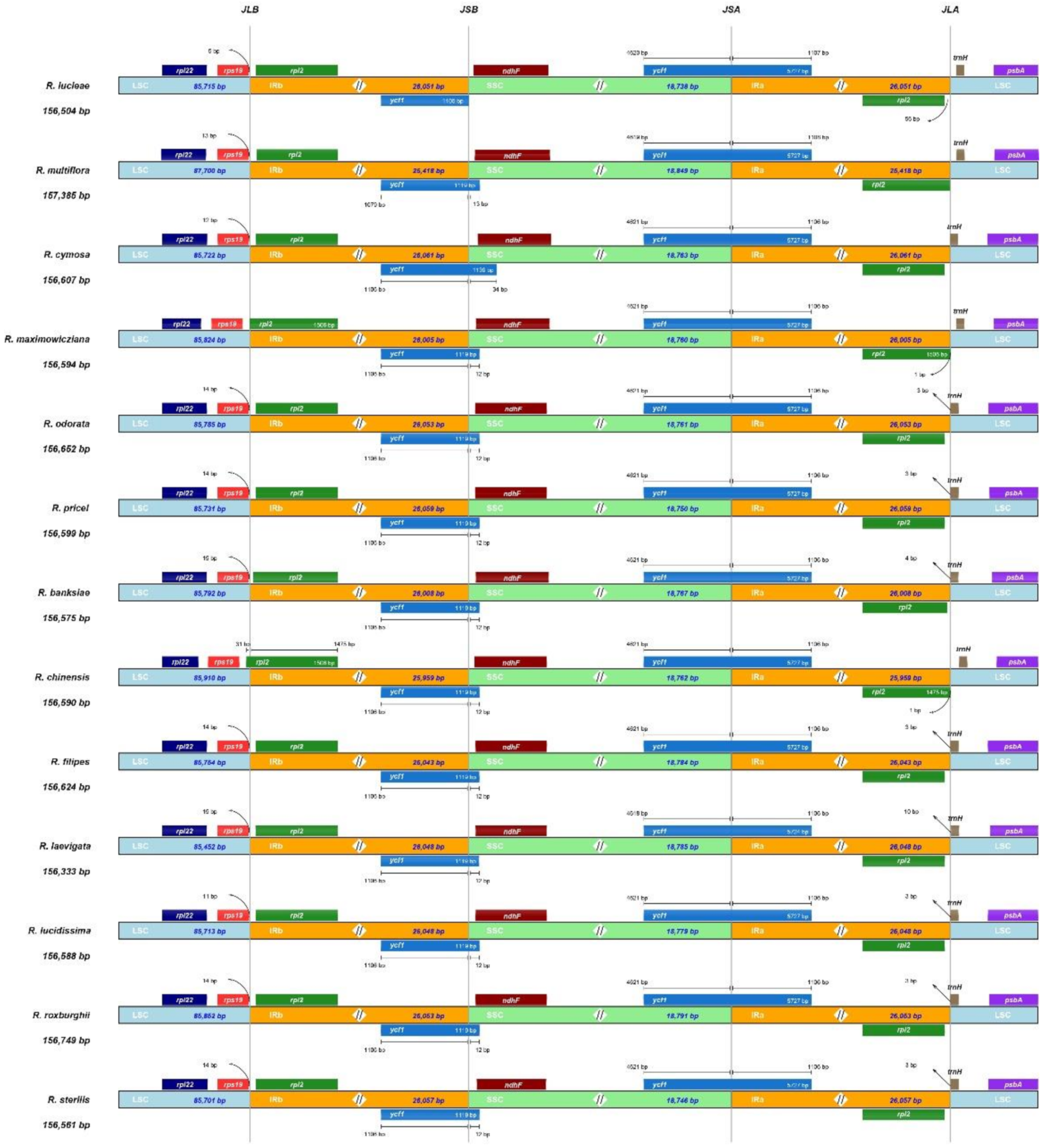 Horticulturae 08 00788 g004