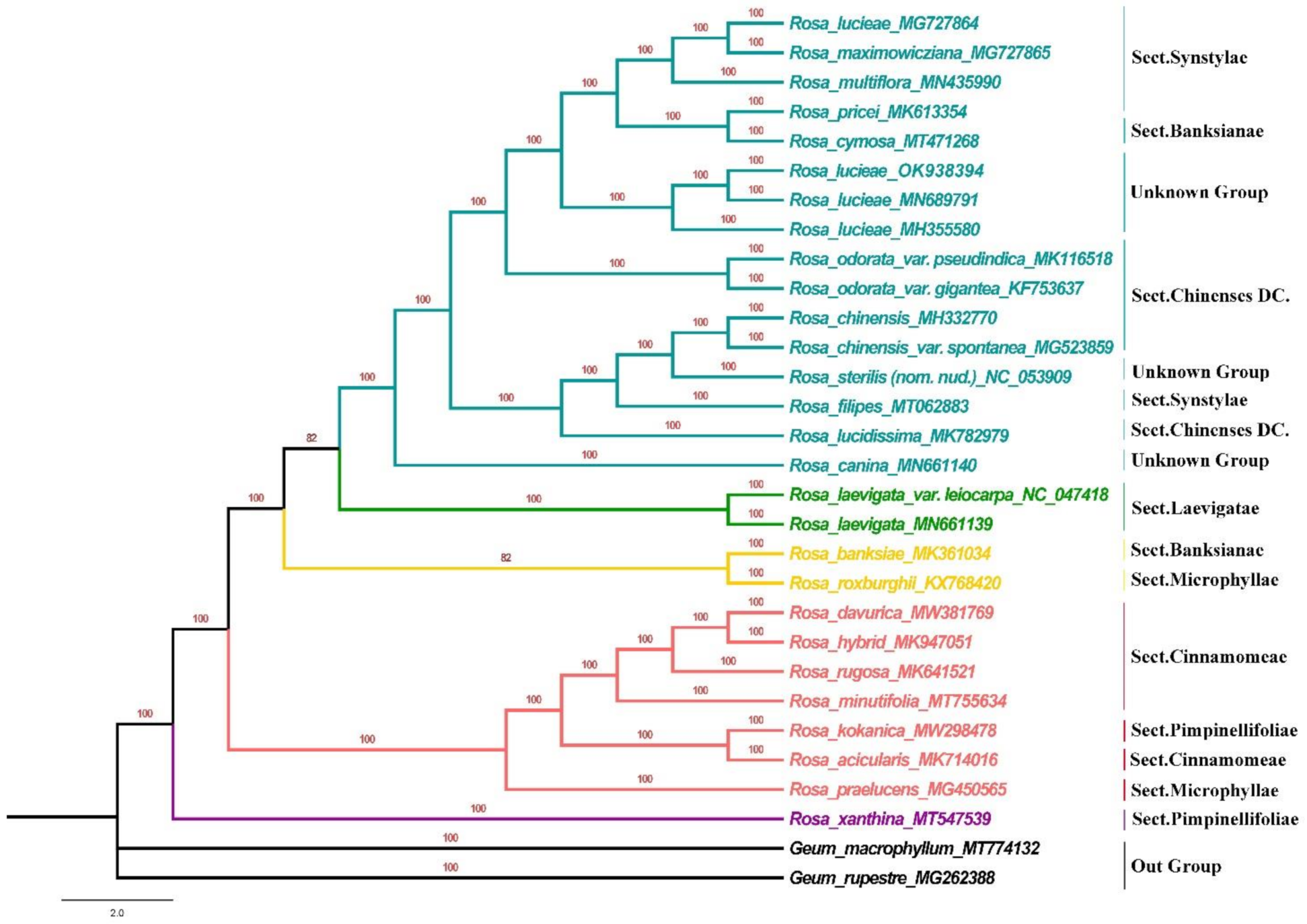 Horticulturae 08 00788 g006