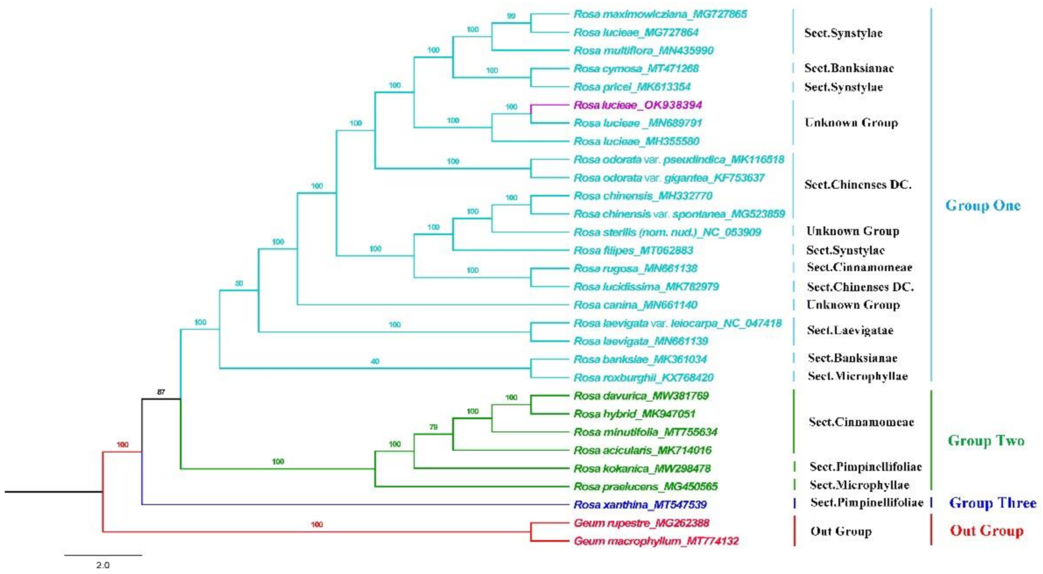 Horticulturae 08 00788 g0a1