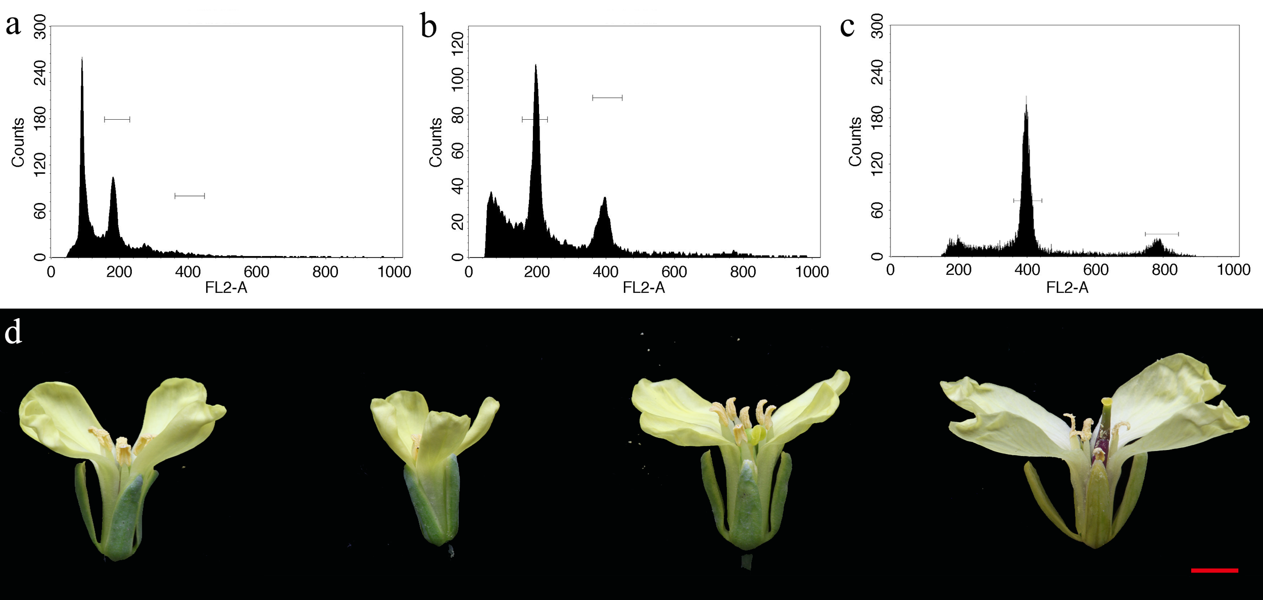 Horticulturae 08 00790 g003 550