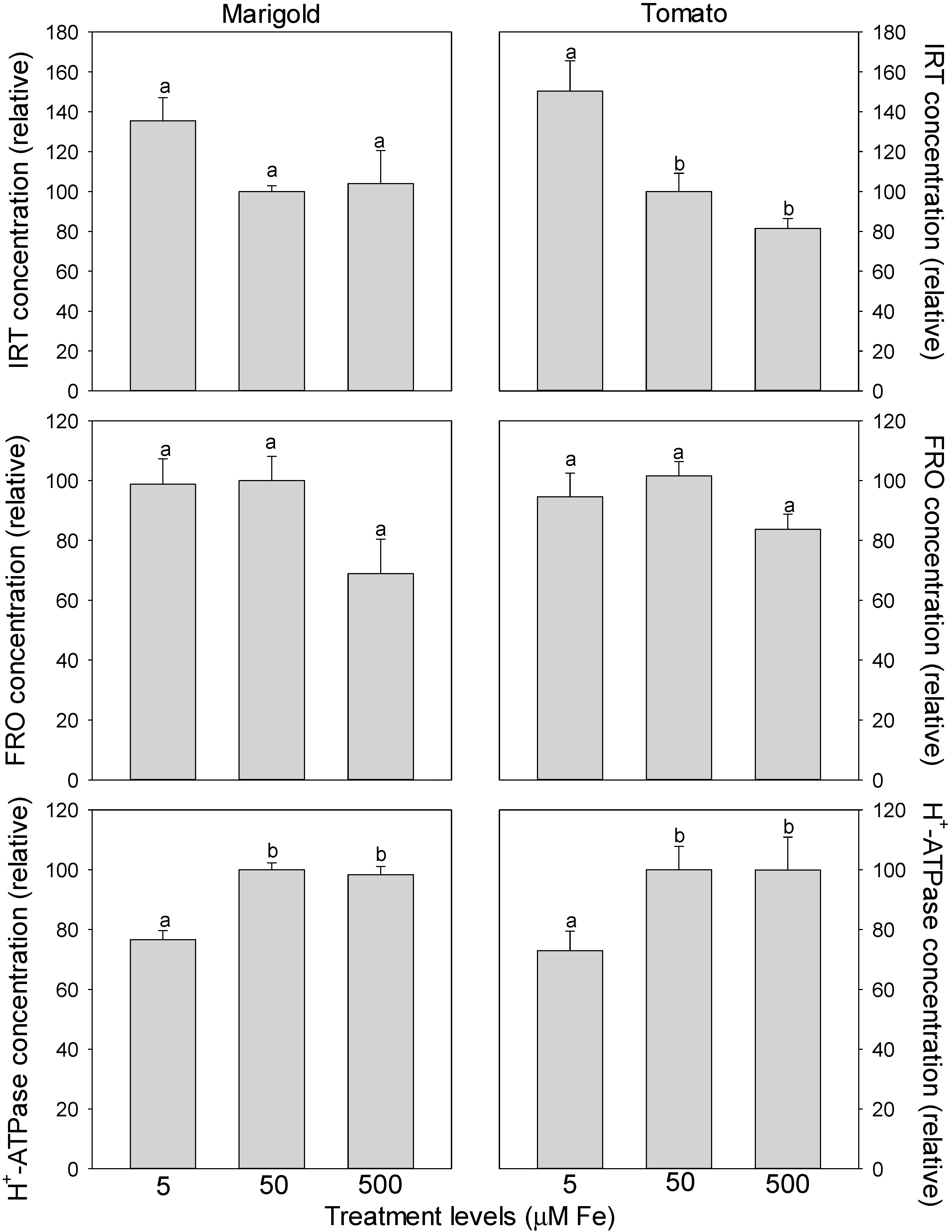 Horticulturae Free Full Text The Relative Sensitivity Of Marigold Vs Tomato To Iron Fe Toxicity Is Associated With Root Traits Root To Shoot Mass Ratio Failure To Sequester Fe In Roots And Levels