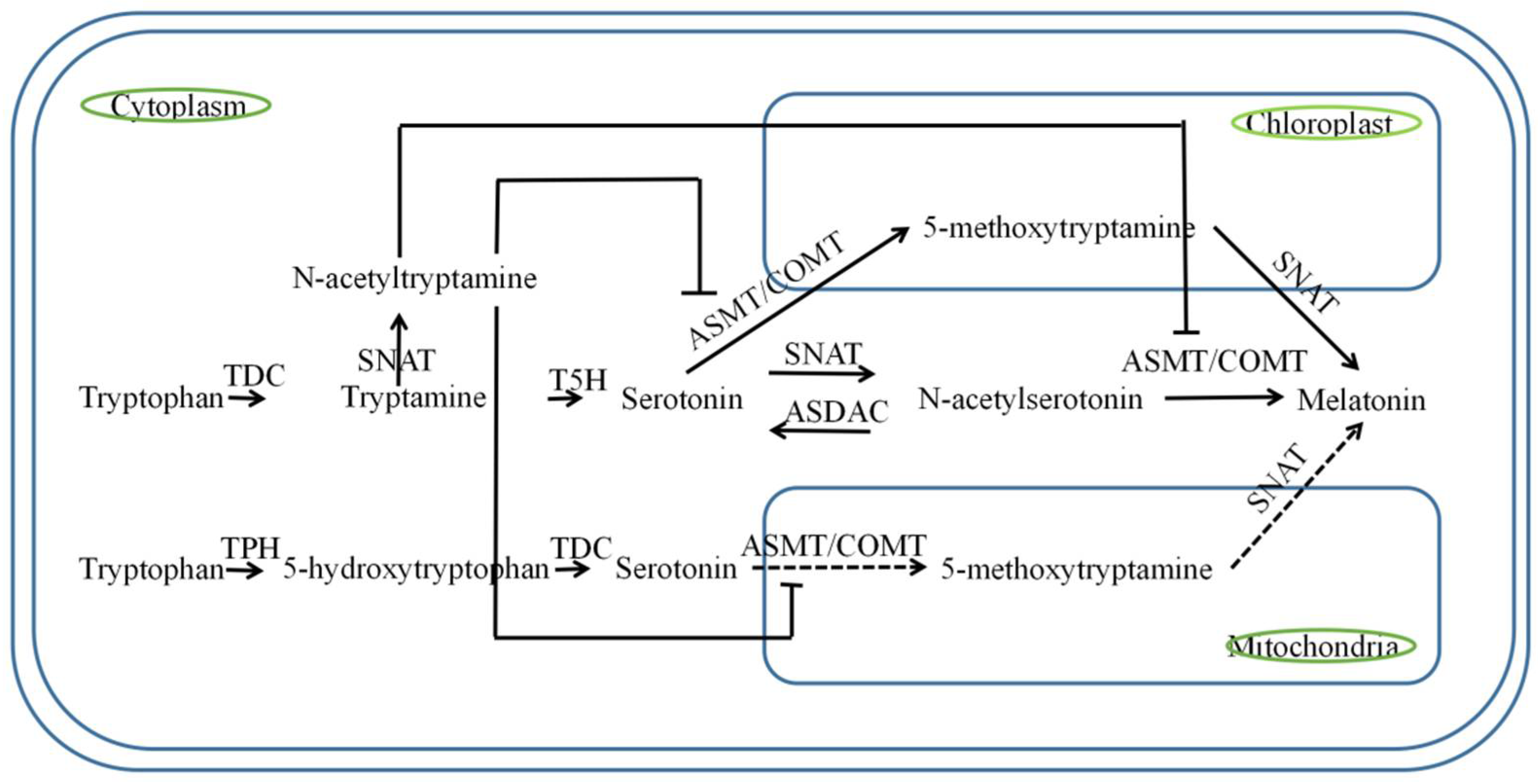 Horticulturae 08 00810 g001 550