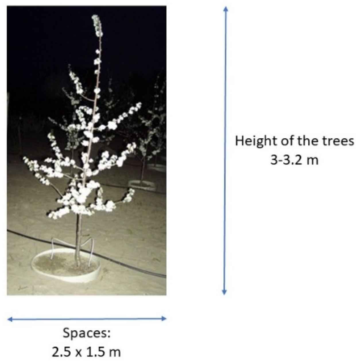 Horticulturae 08 00819 g002 550