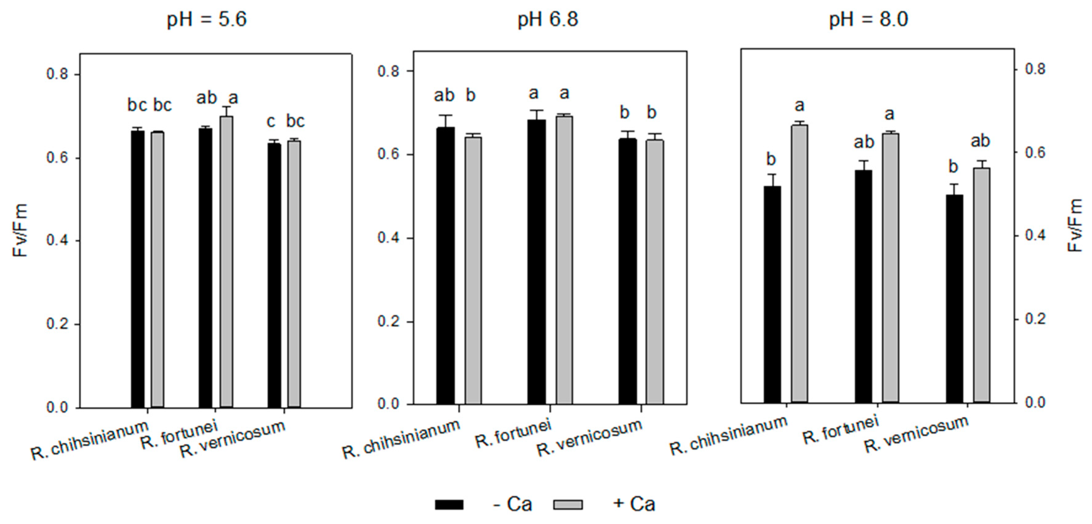 Horticulturae 08 00823 g007