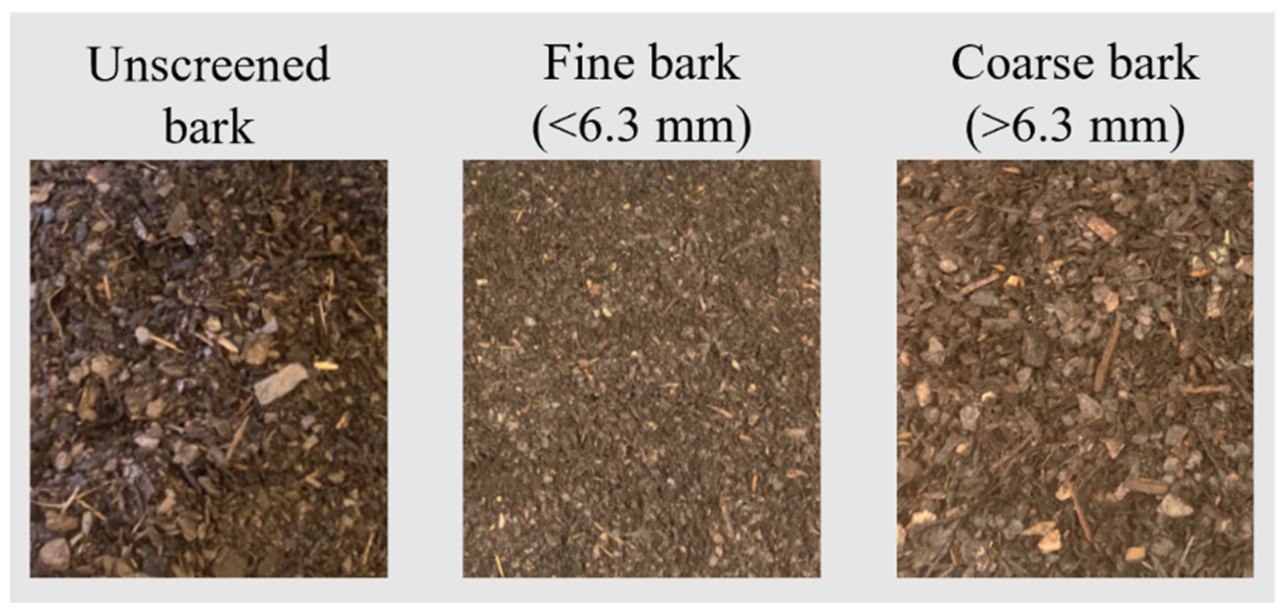 Horticulturae 08 00826 g001 550