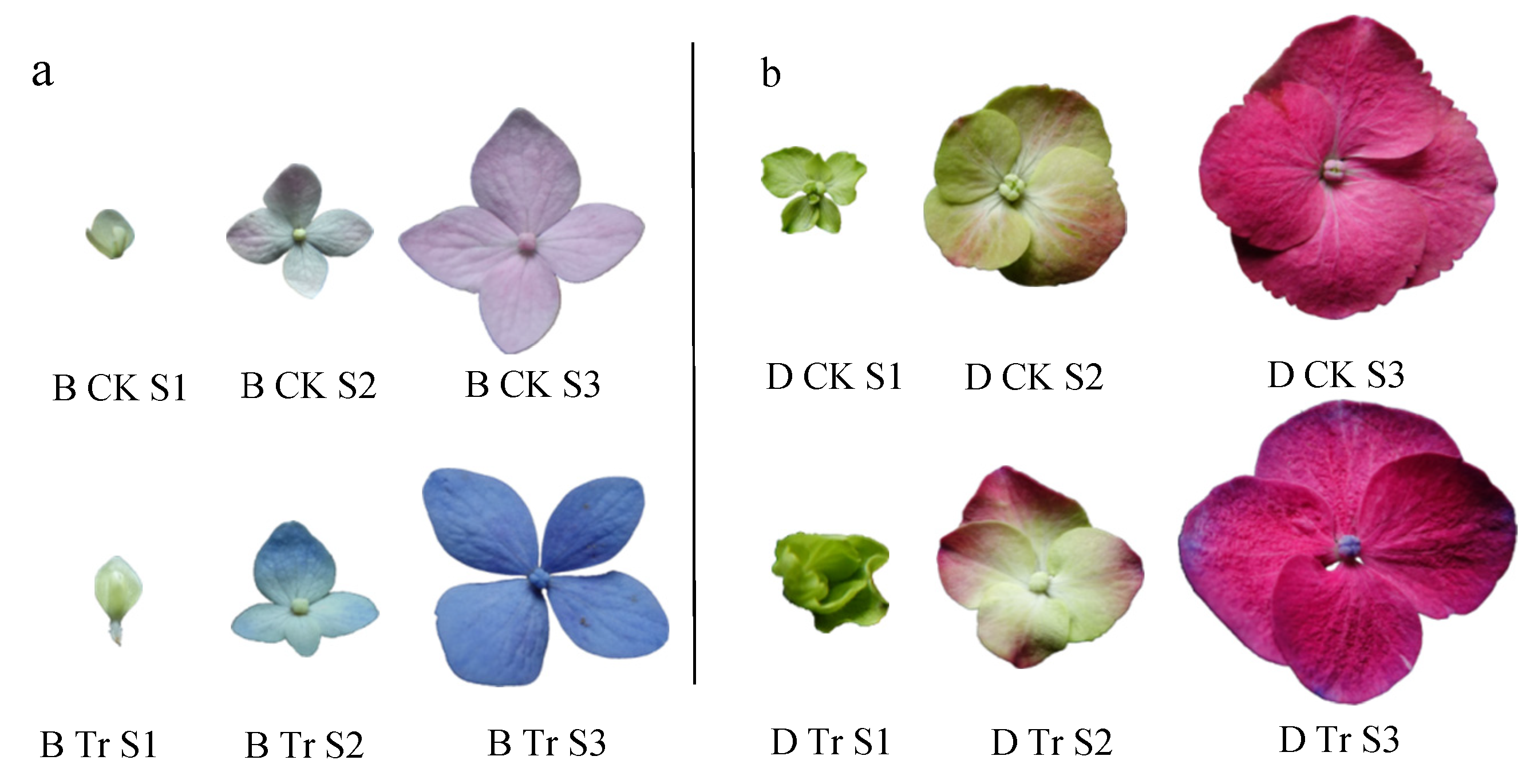 Horticulturae 08 00835 g001