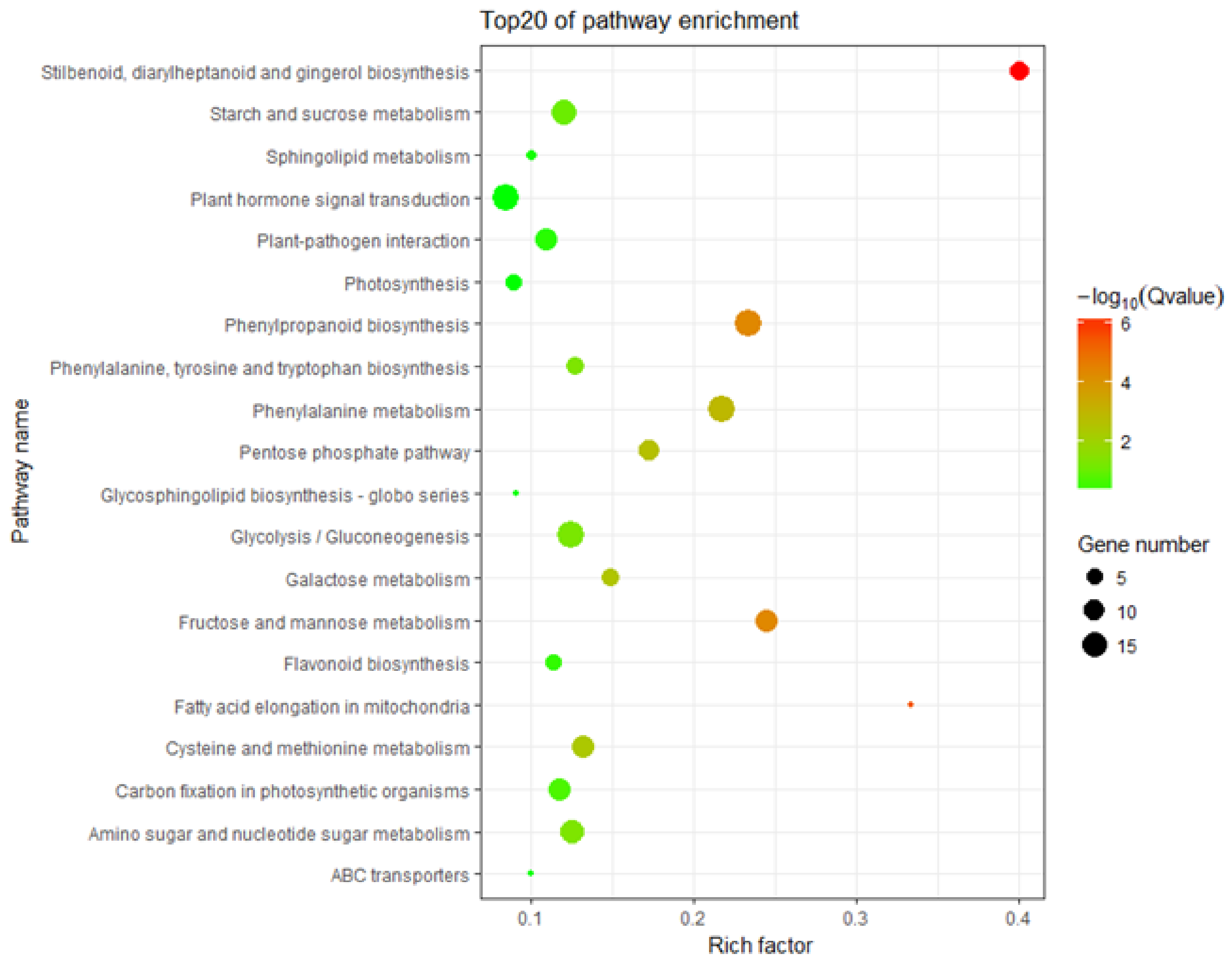 Horticulturae 08 00843 g004