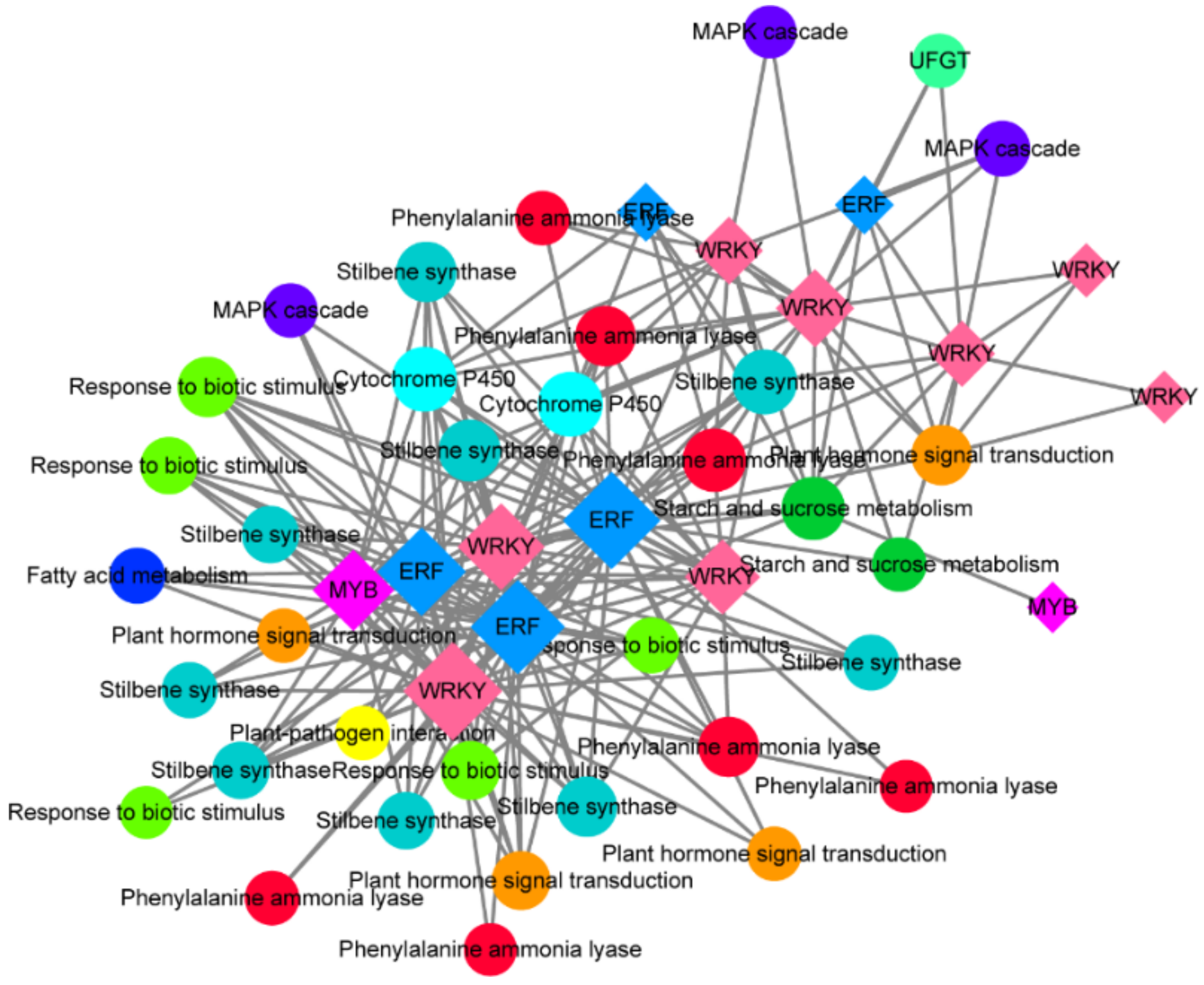 Horticulturae 08 00843 g007