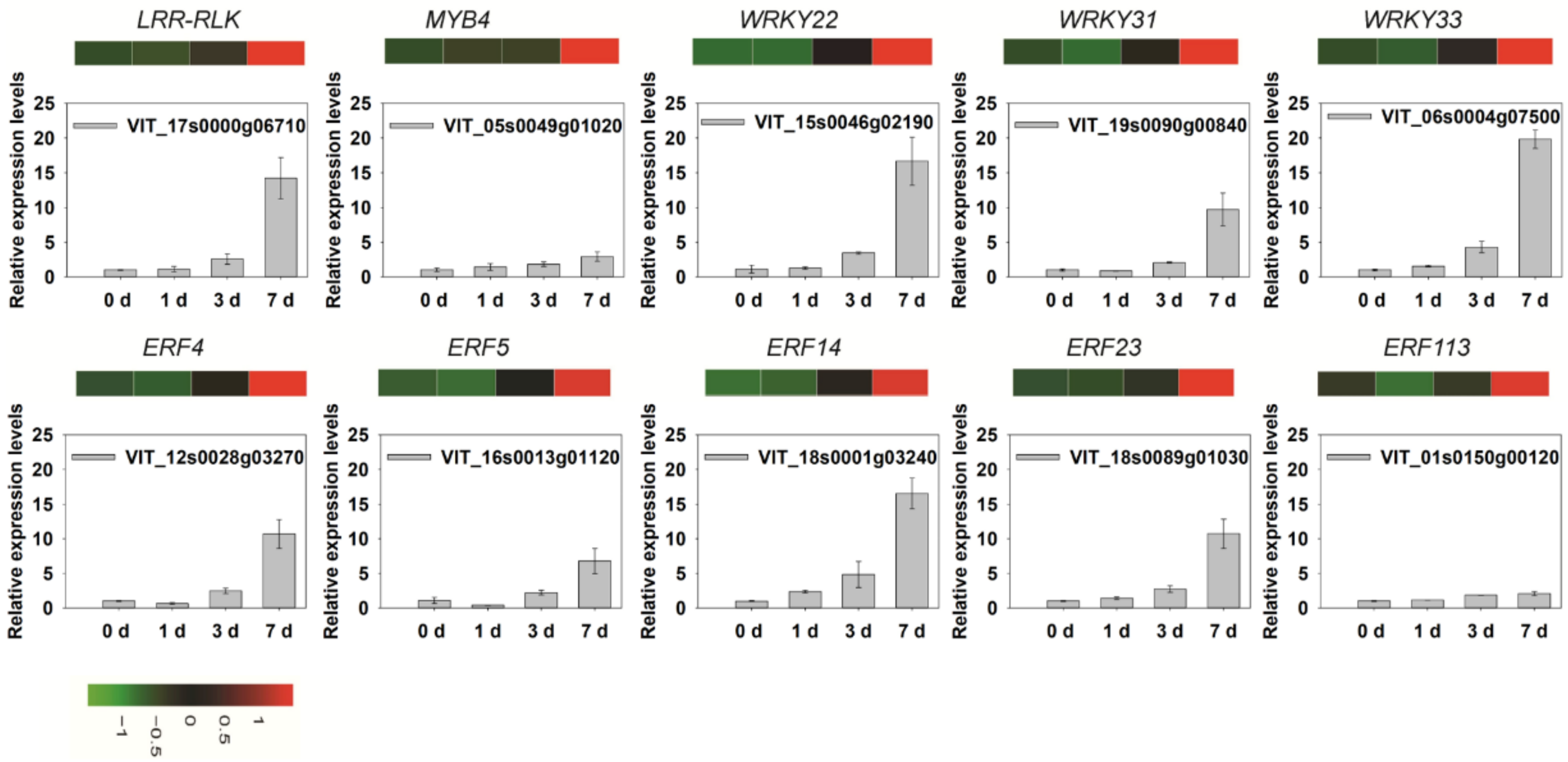 Horticulturae 08 00843 g008