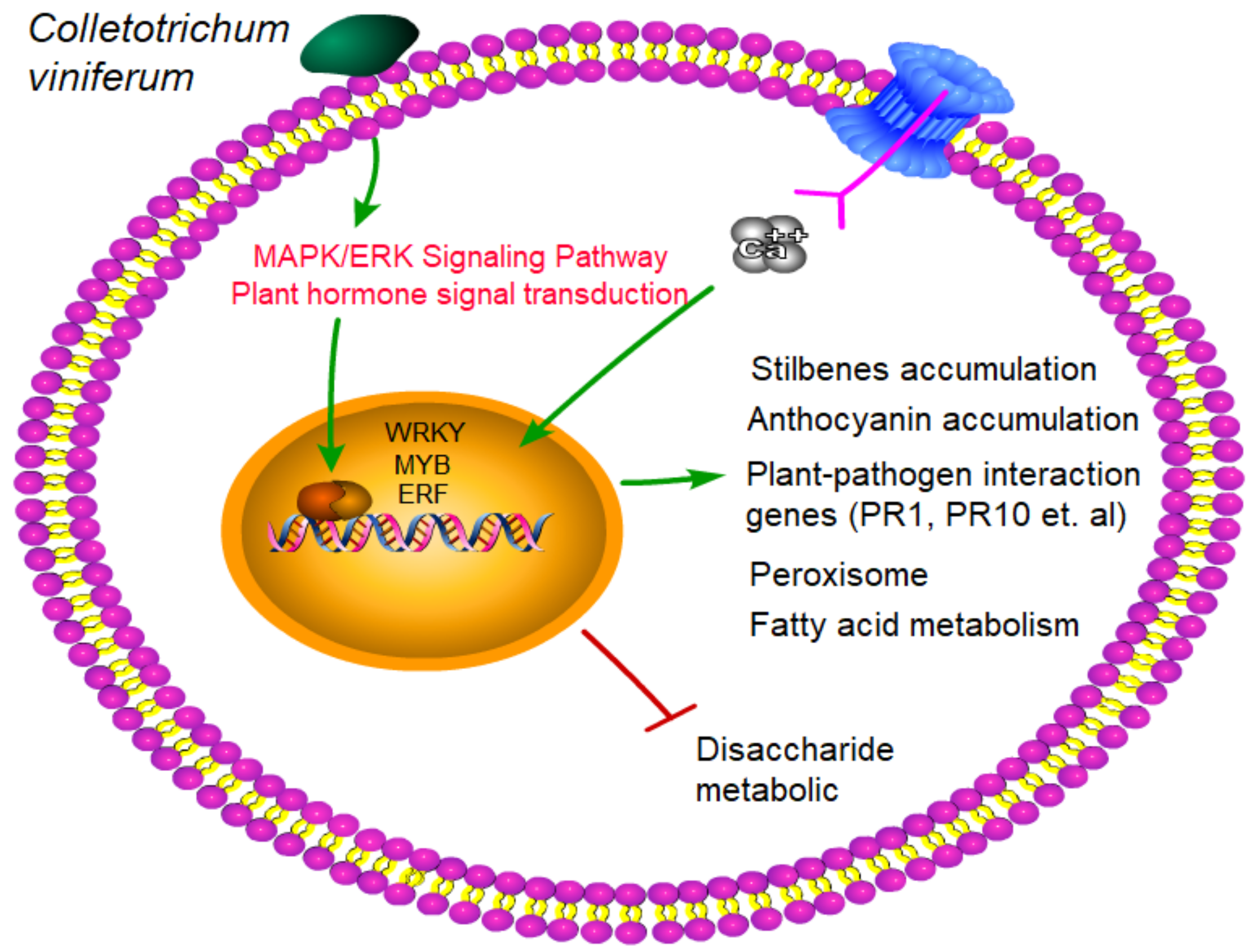 Horticulturae 08 00843 g009
