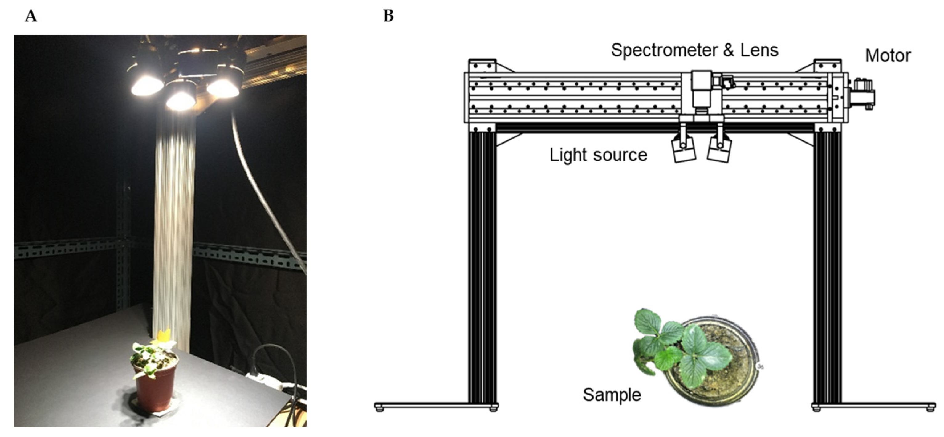 Horticulturae 08 00854 g001 Horticulturae 08 00854 g001