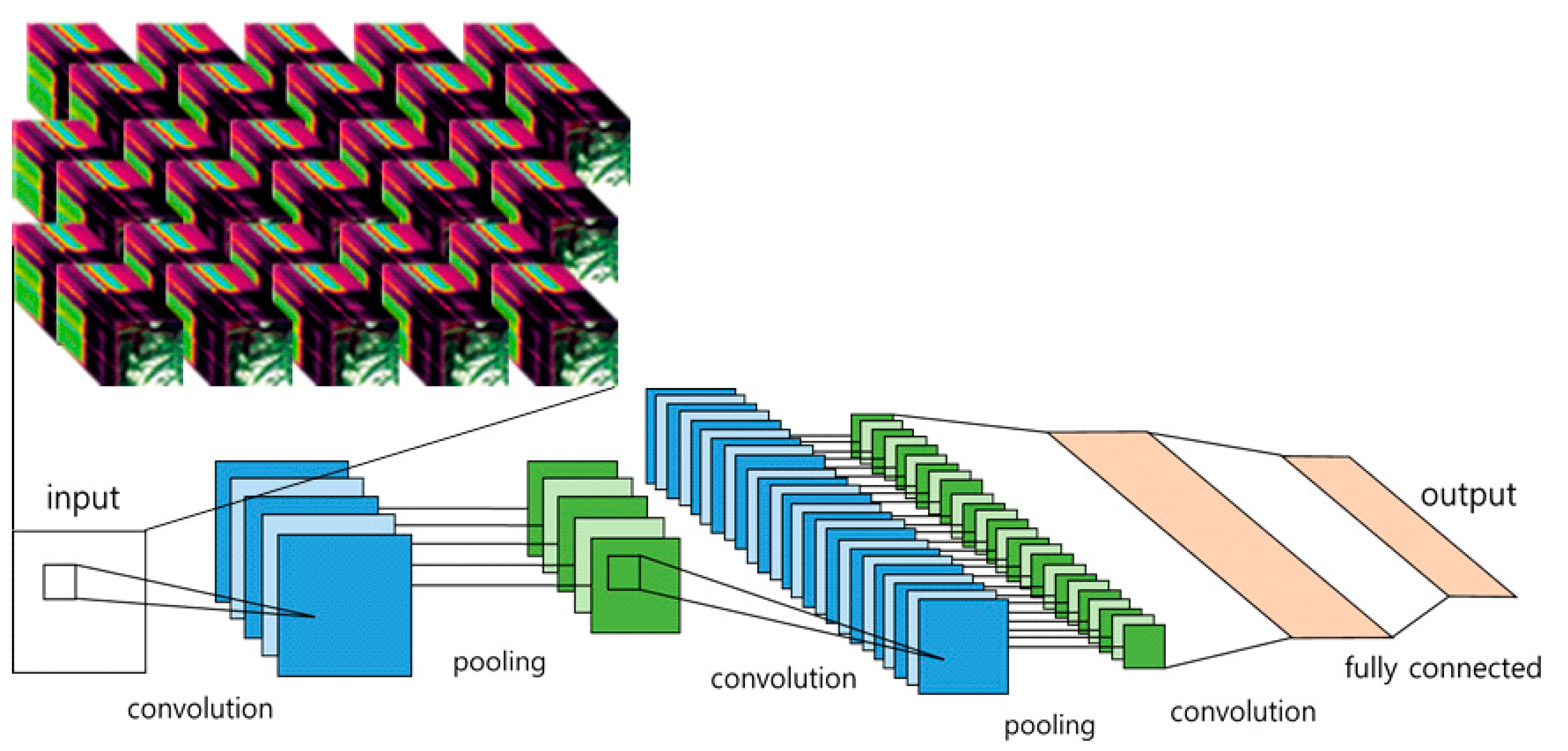 Horticulturae 08 00854 g005 Horticulturae 08 00854 g005