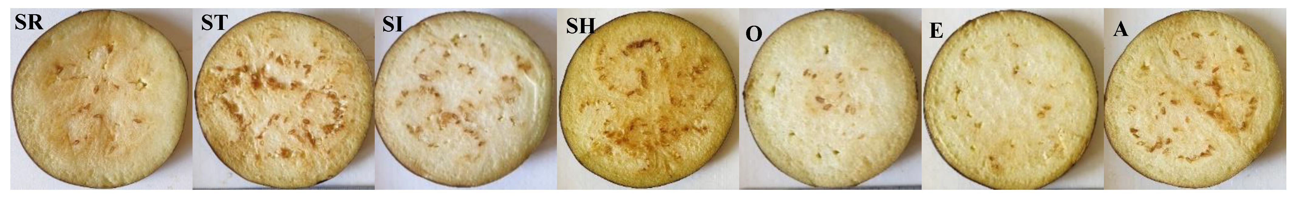 Horticulturae 08 00862 g002 Horticulturae 08 00862 g002