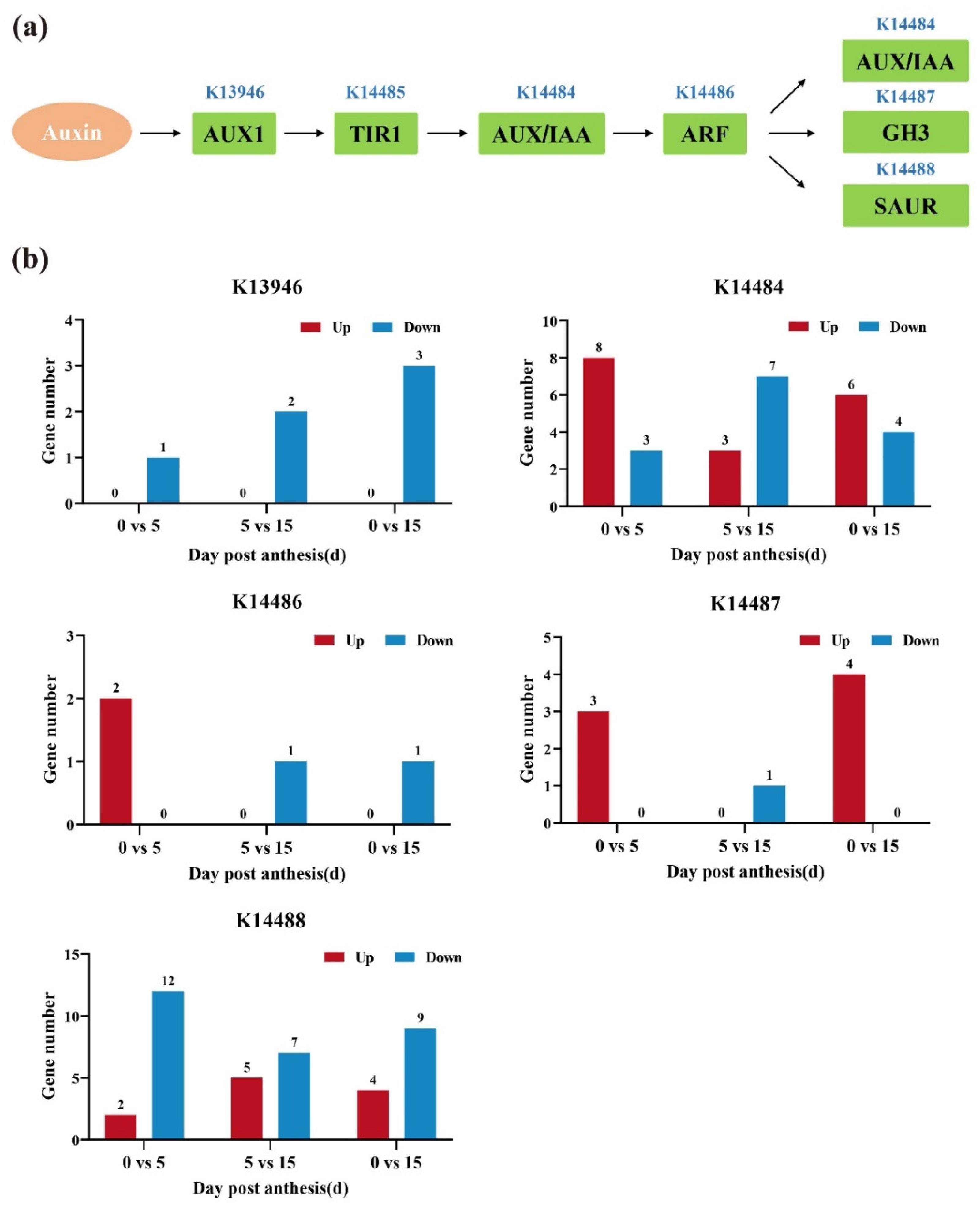Horticulturae 08 00865 g005 Horticulturae 08 00865 g005