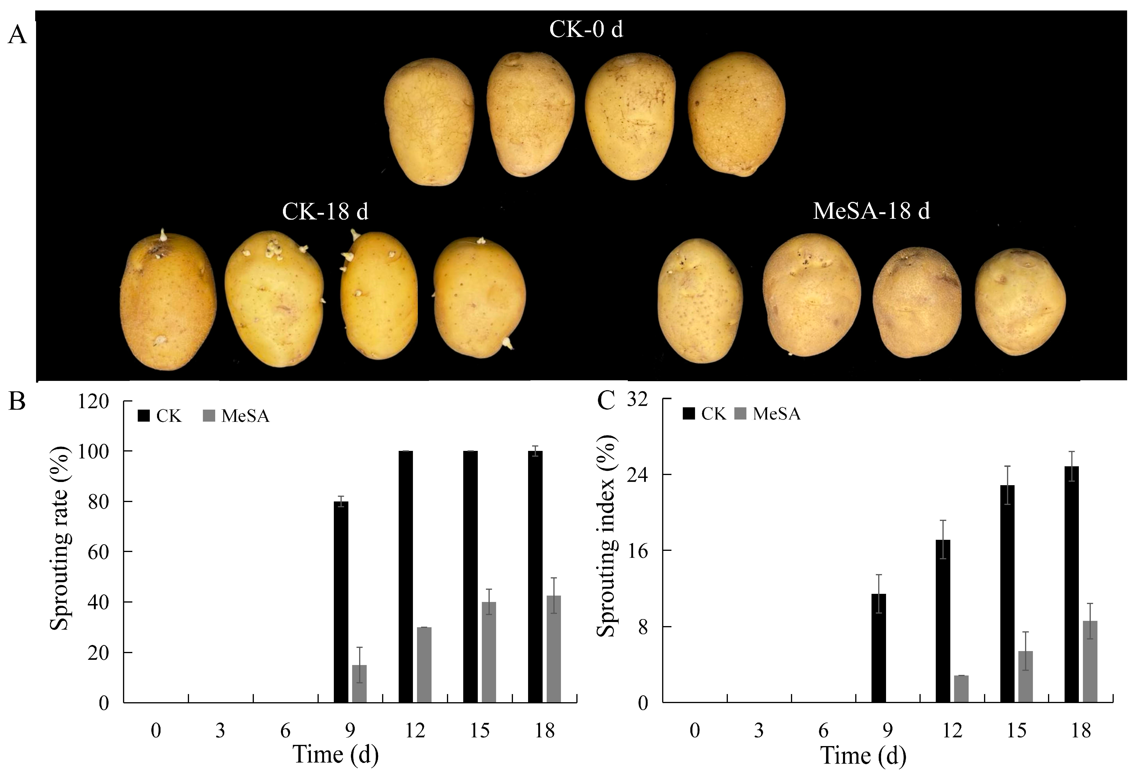 Horticulturae 08 00866 g001 550