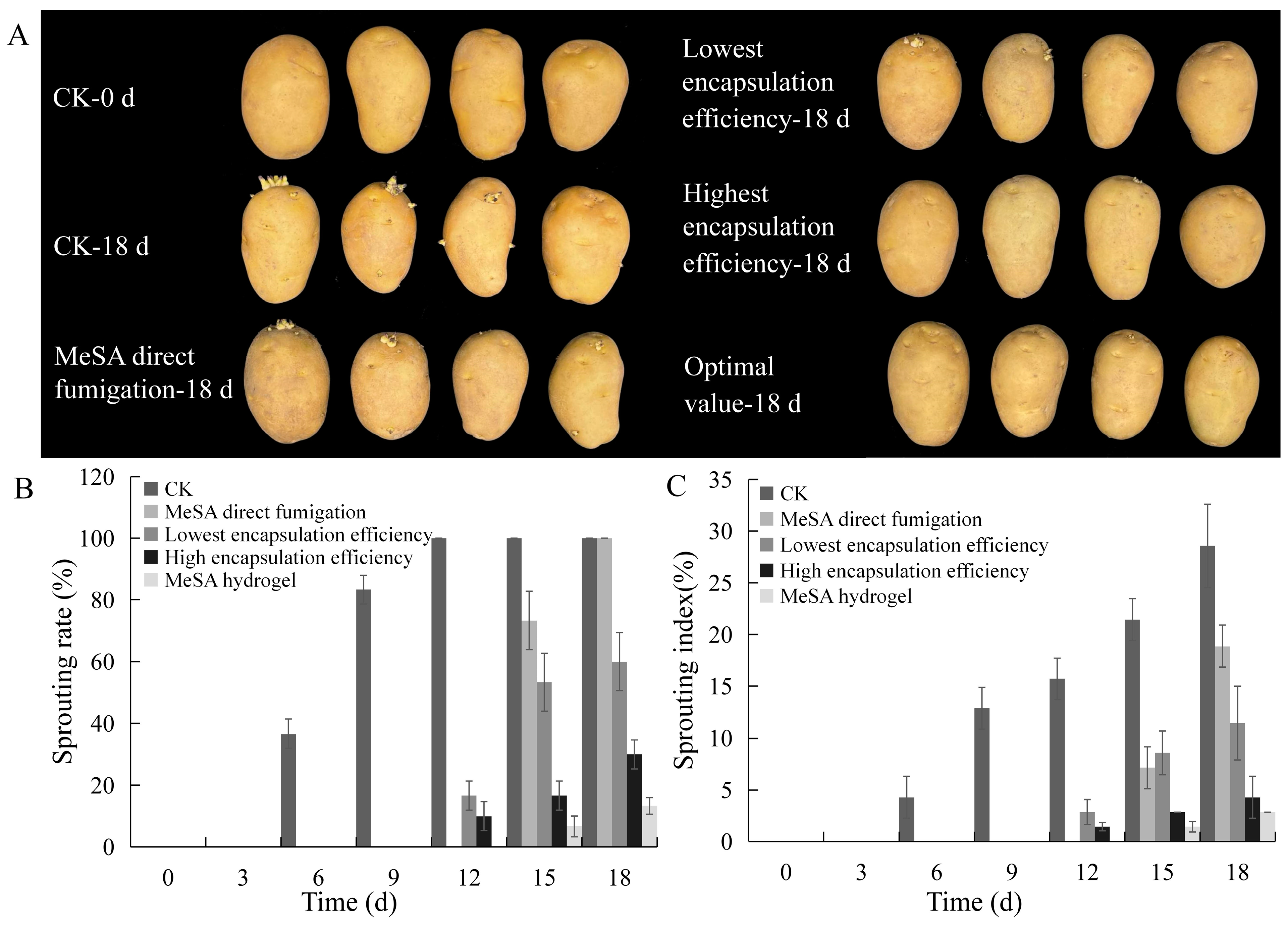 Horticulturae 08 00866 g007 550