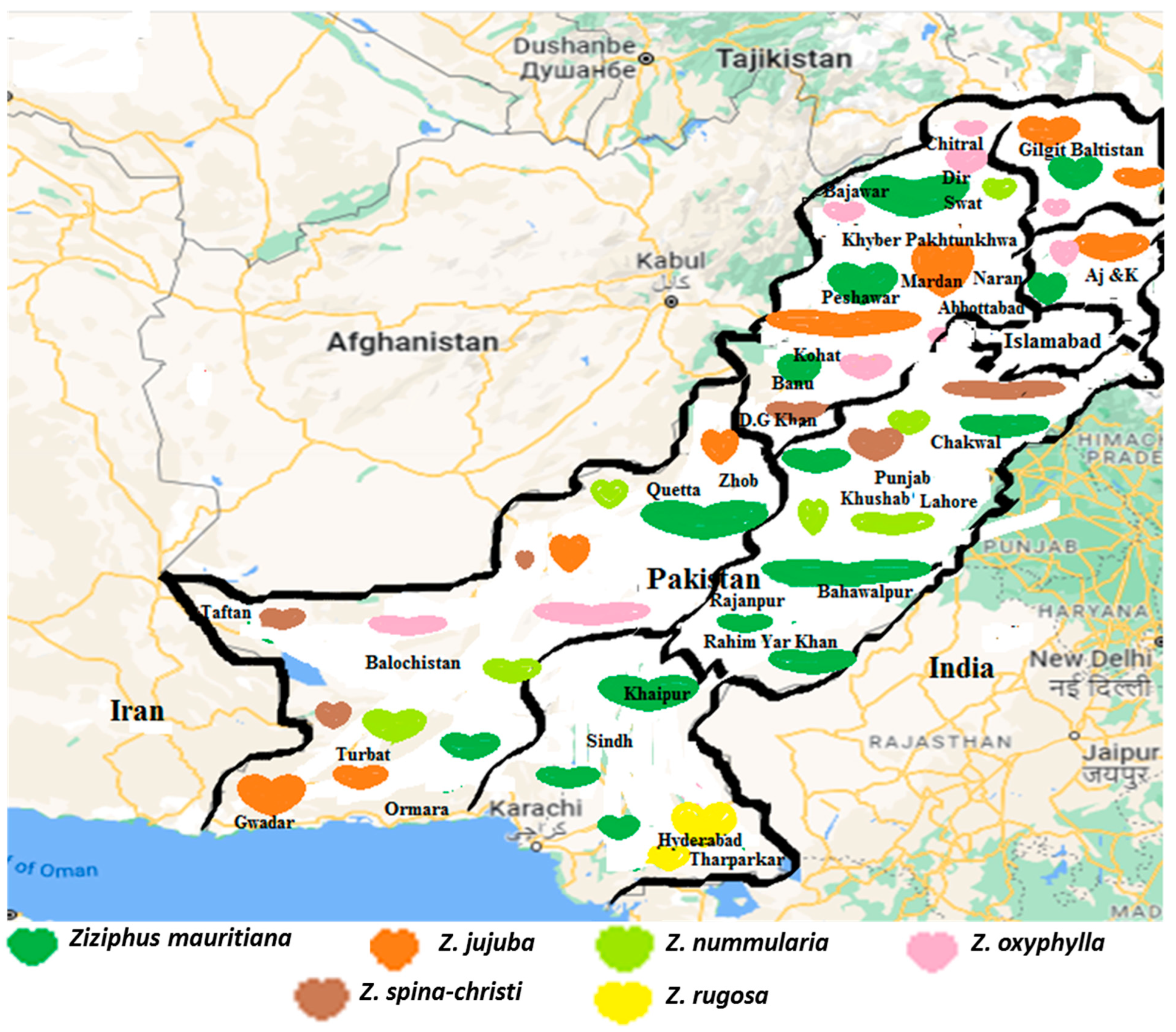 Horticulturae 08 00867 g004