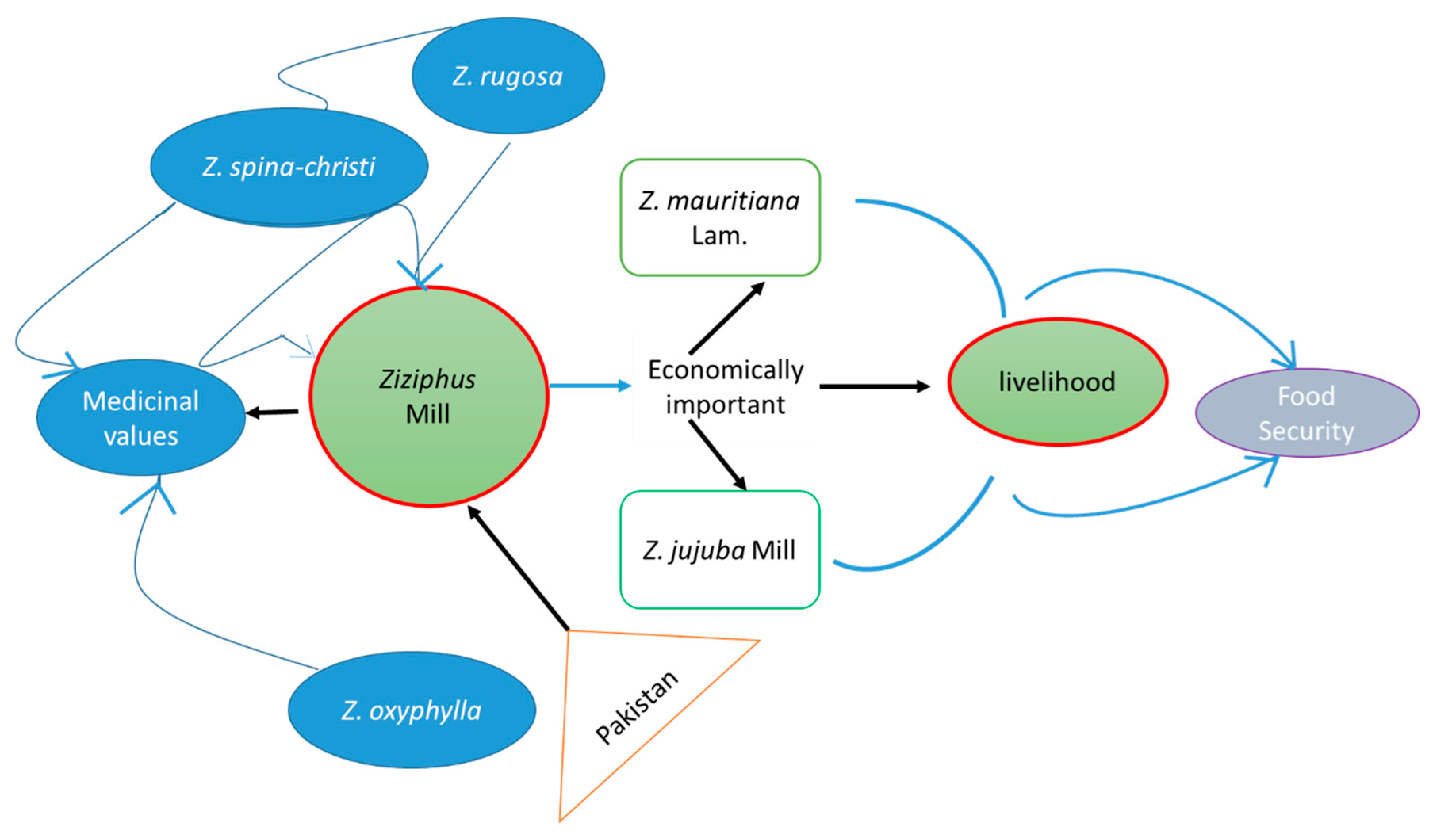 Horticulturae 08 00867 g005