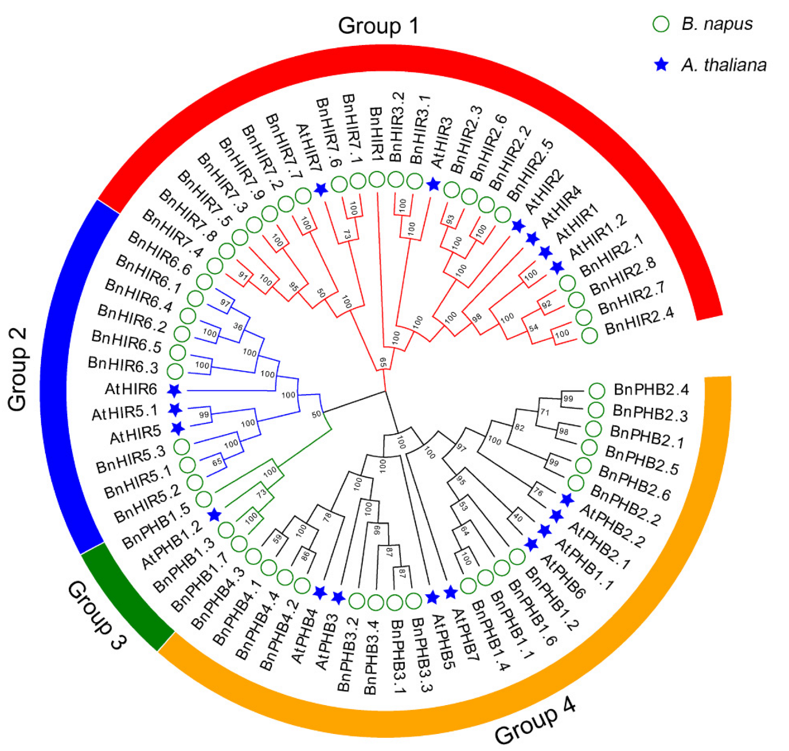 Horticulturae 08 00874 g001 Horticulturae 08 00874 g001