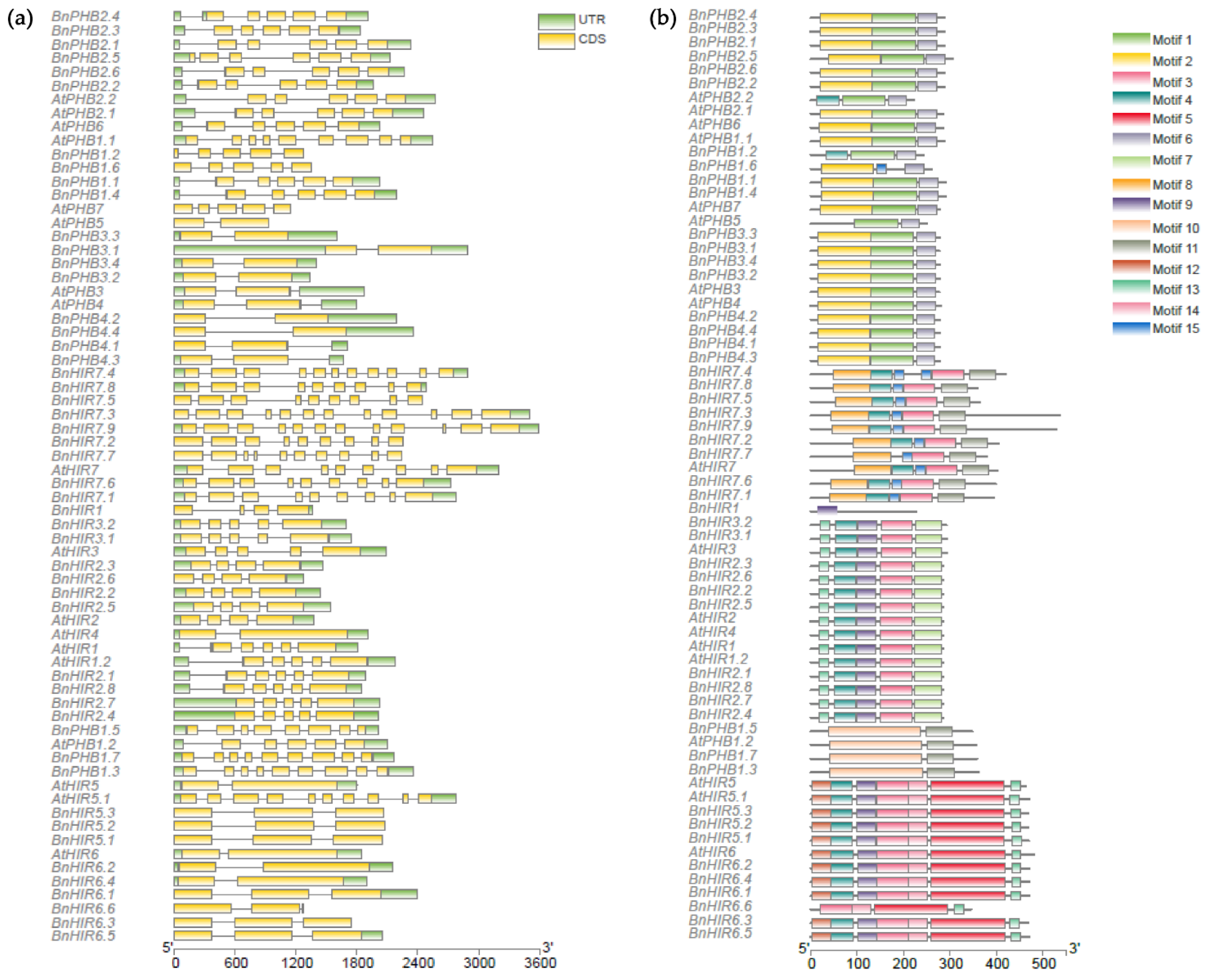 Horticulturae 08 00874 g002 Horticulturae 08 00874 g002